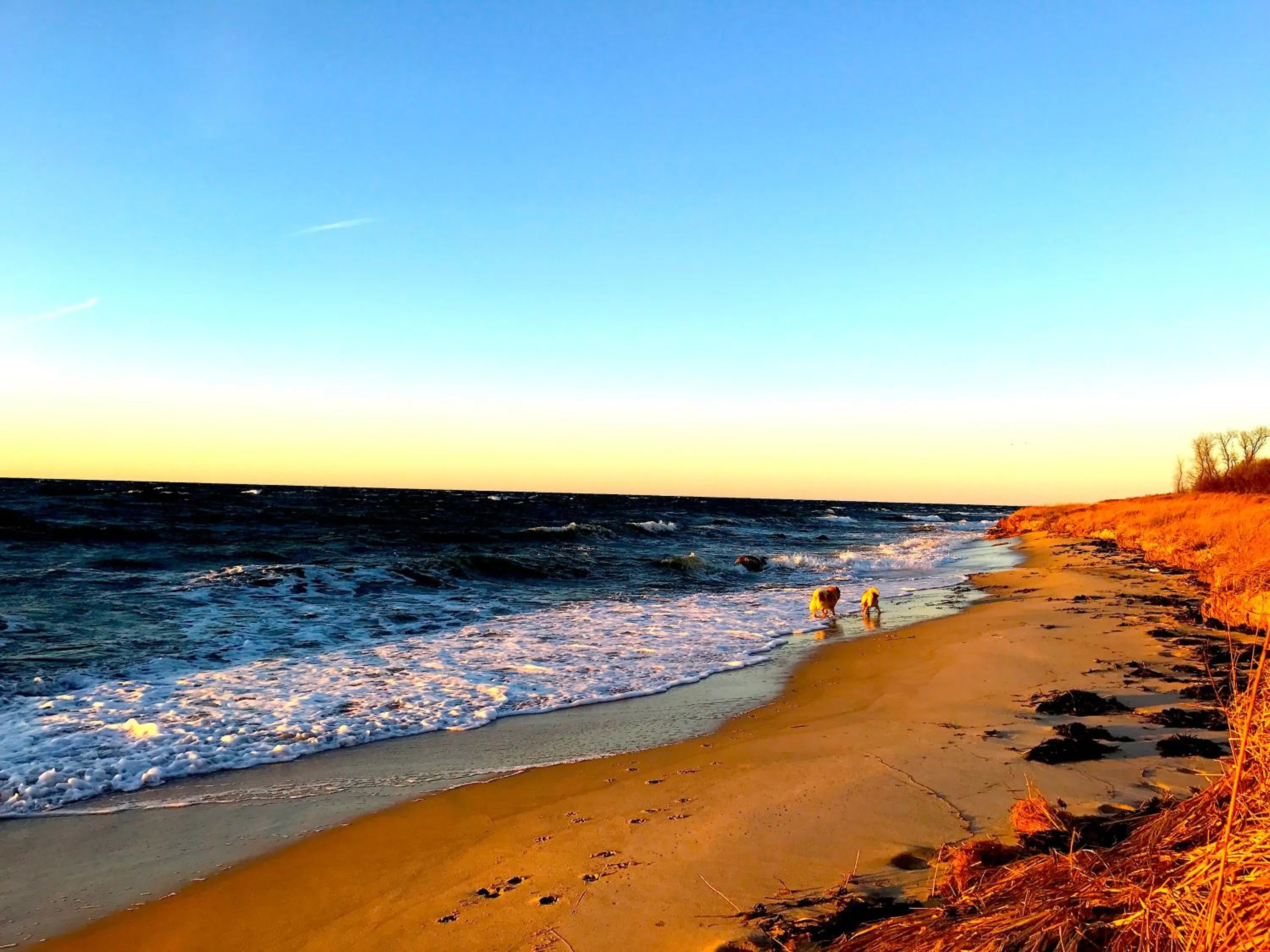 Beach in Hotel Skovly