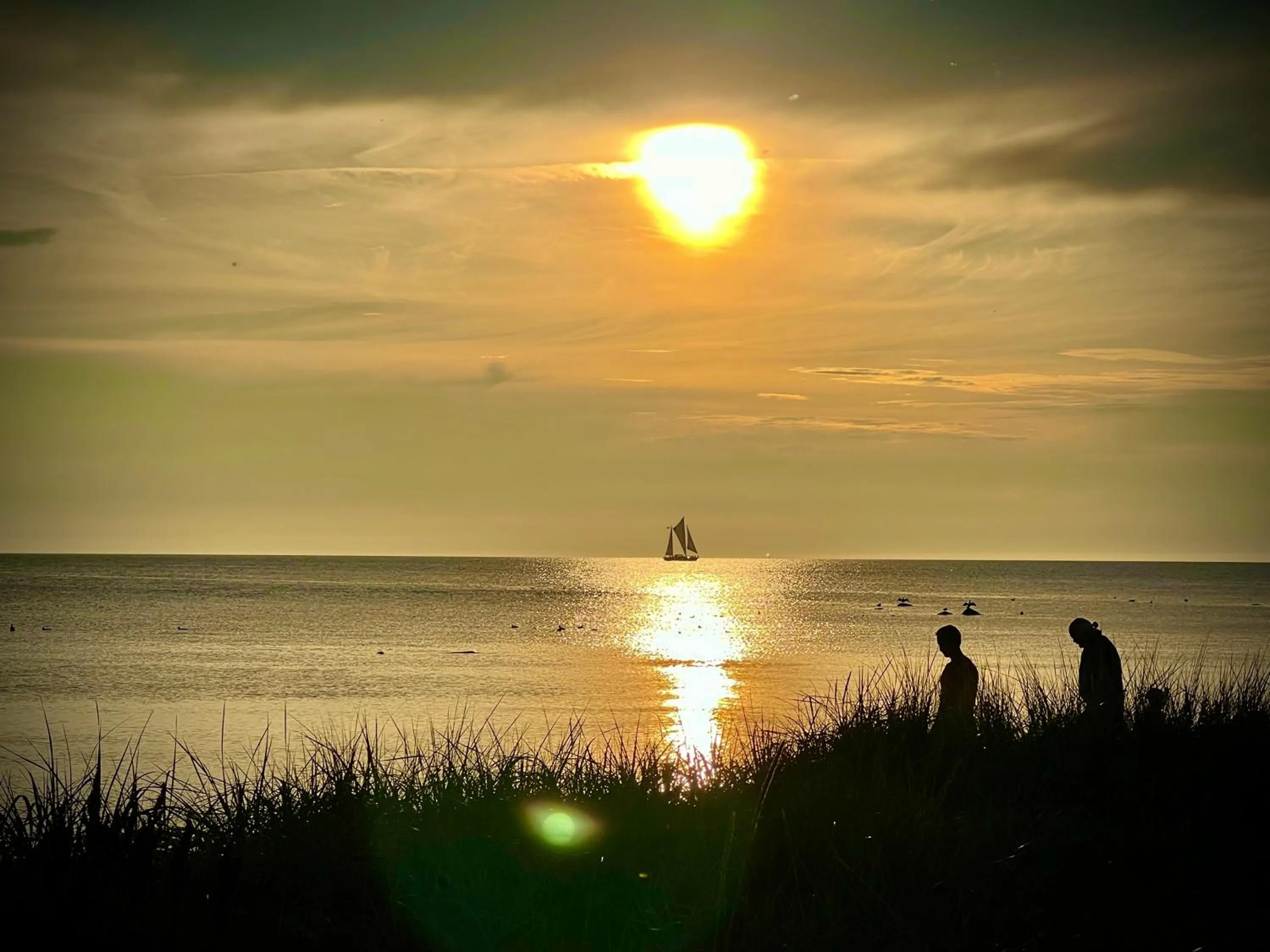 Summer in Hotel Skovly