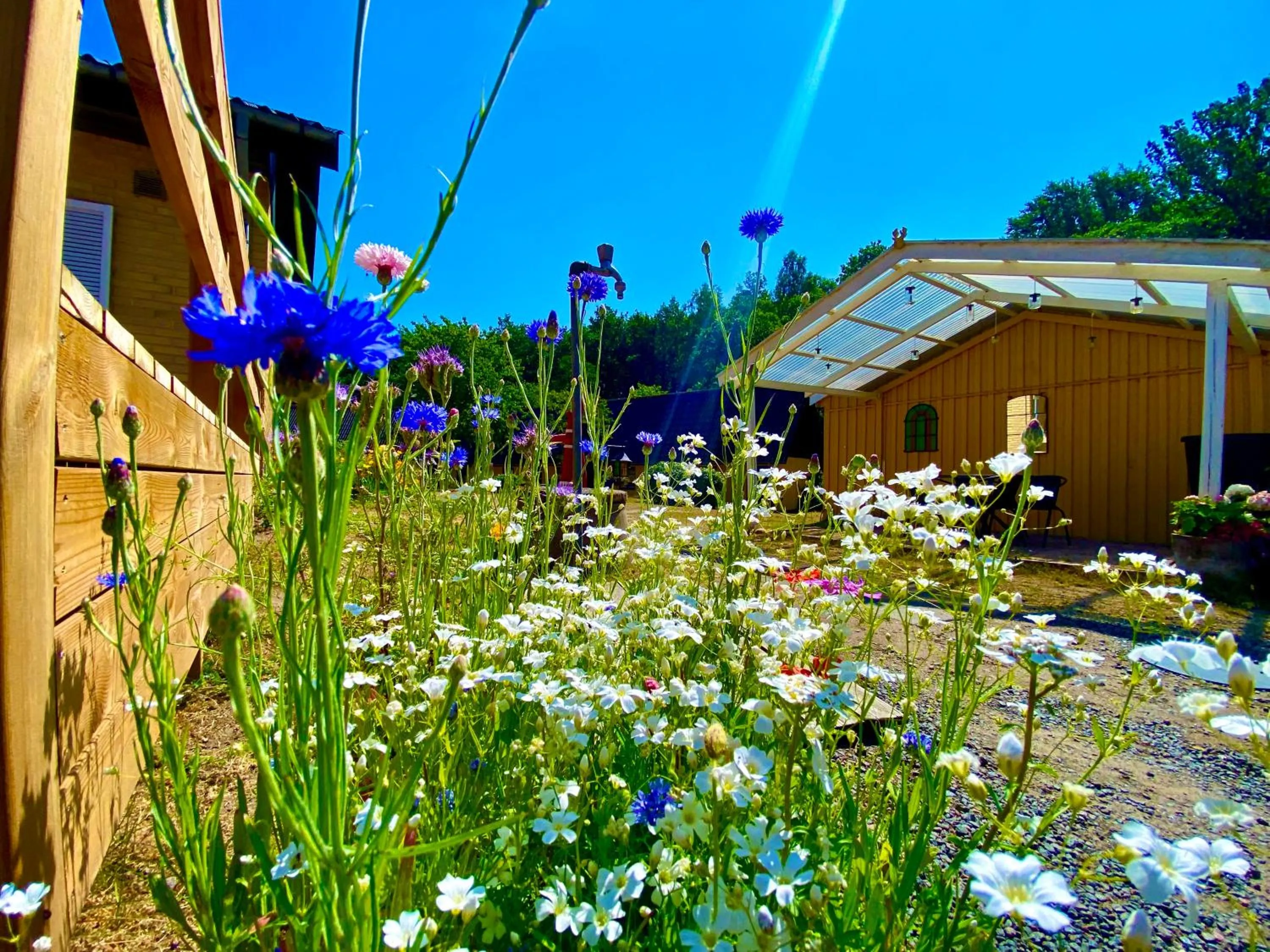 Garden in Hotel Skovly