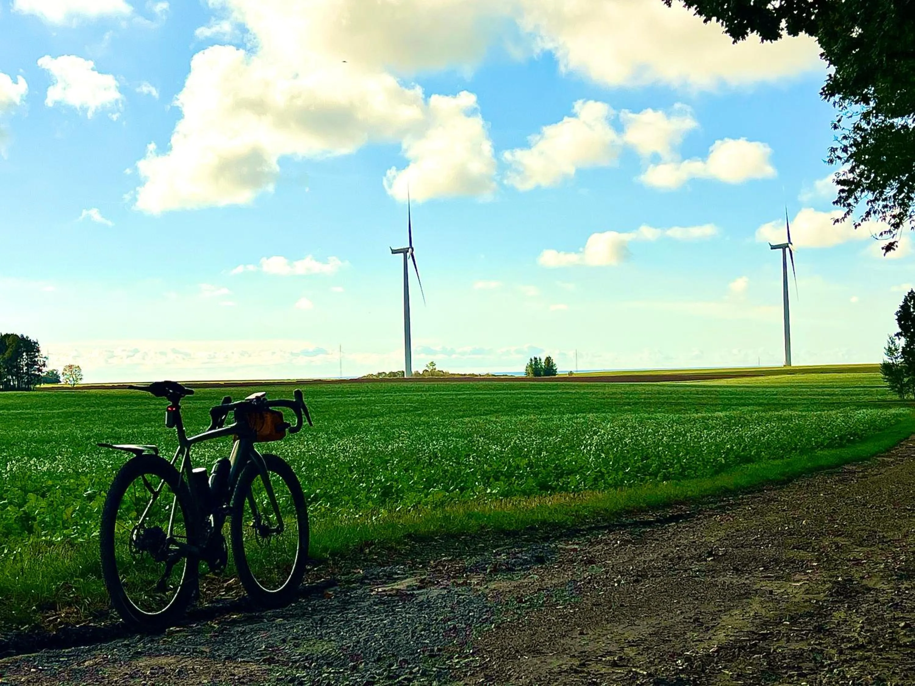 Cycling in Hotel Skovly