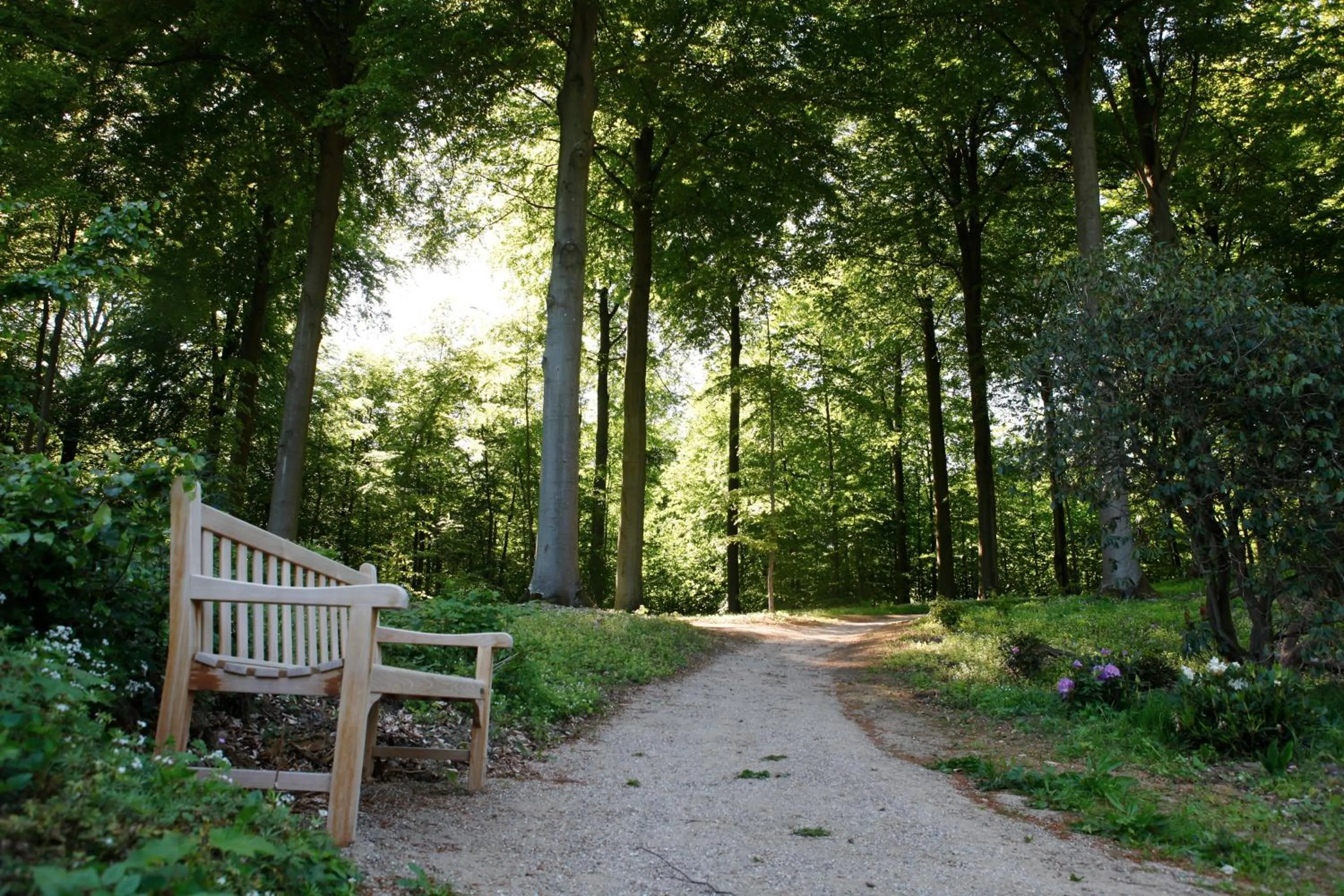 Garden in Hotel Vejlefjord