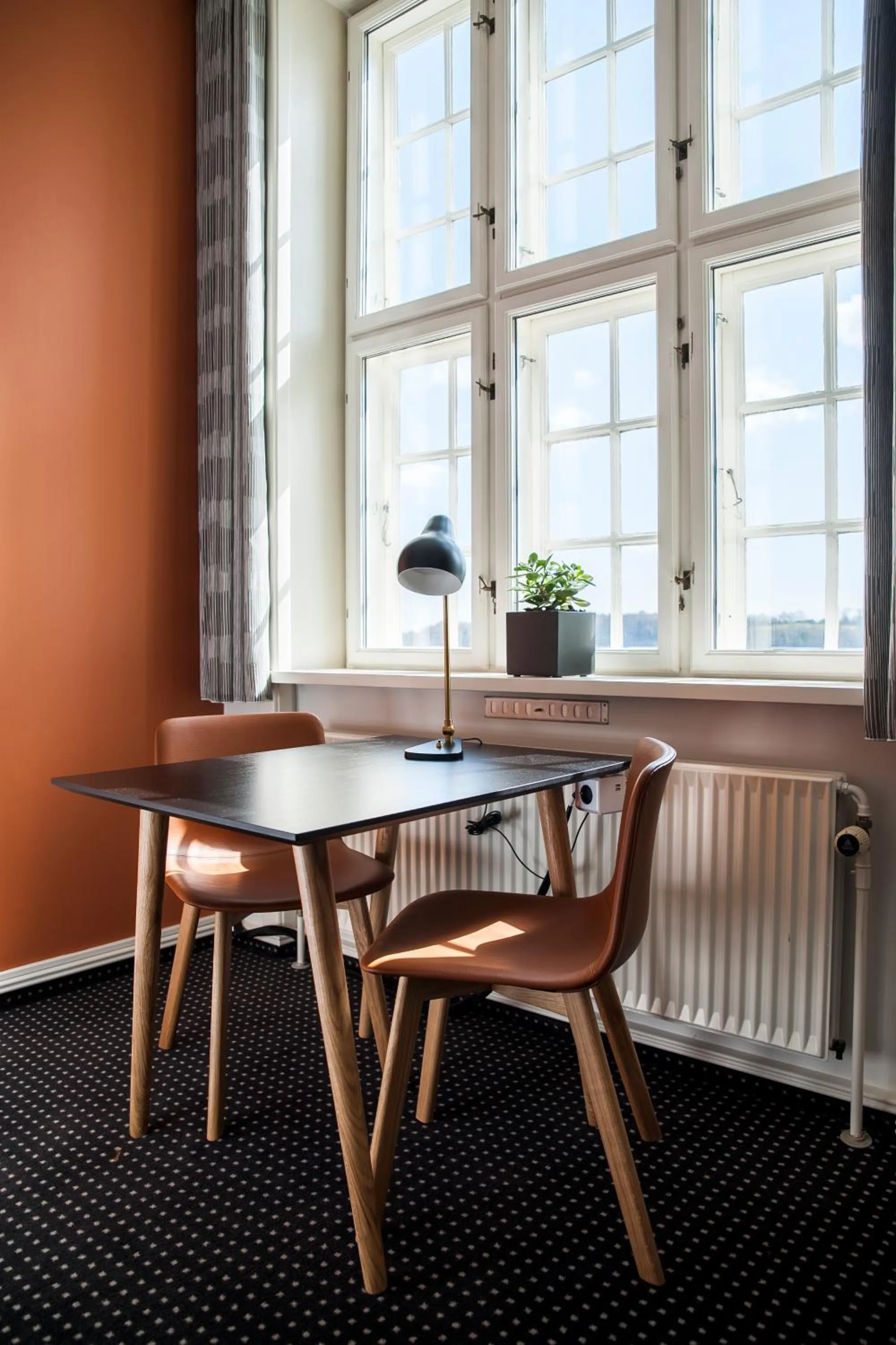 Lake view in Hotel Koldingfjord