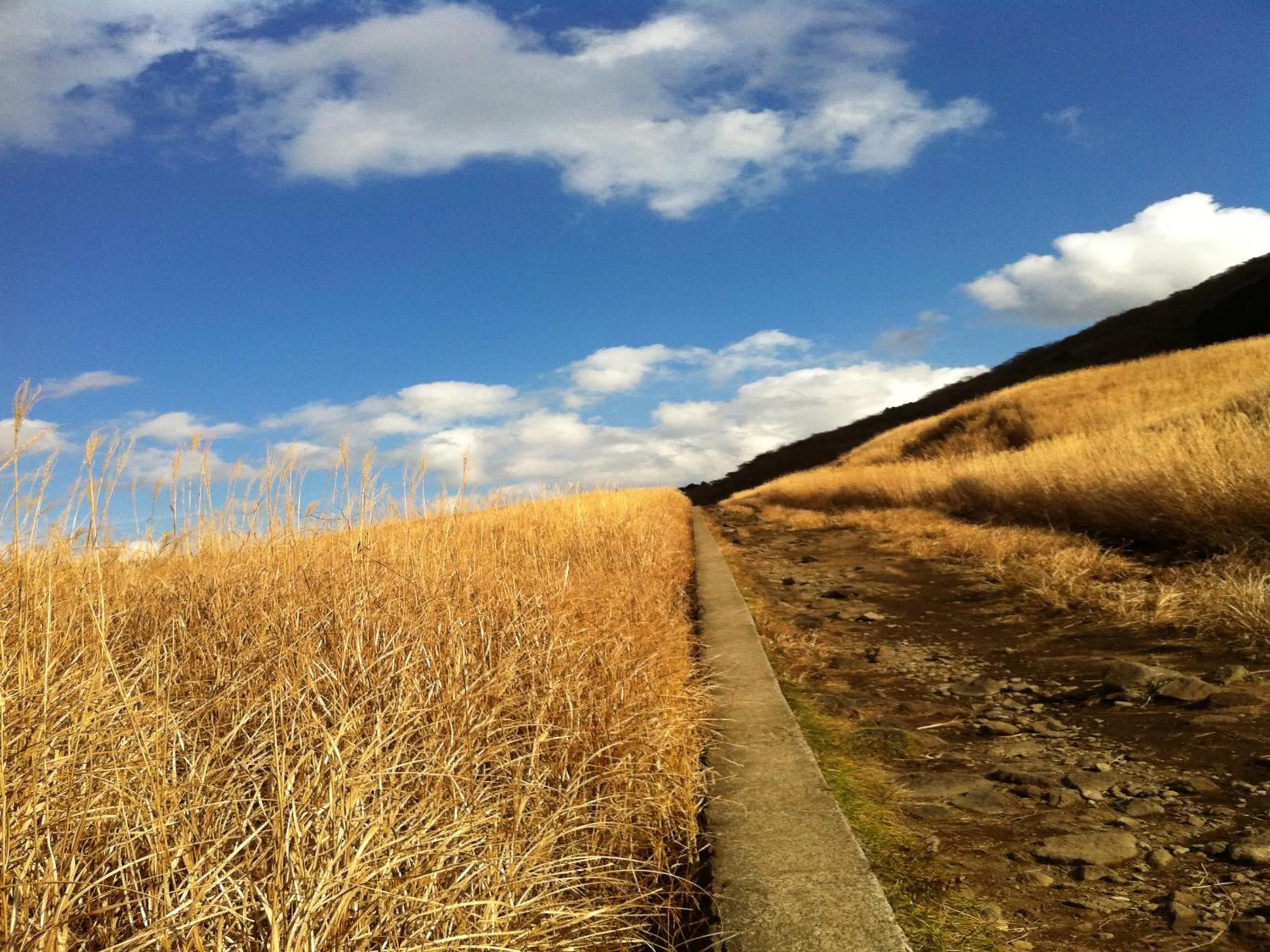 Natural landscape in Fukushimakan