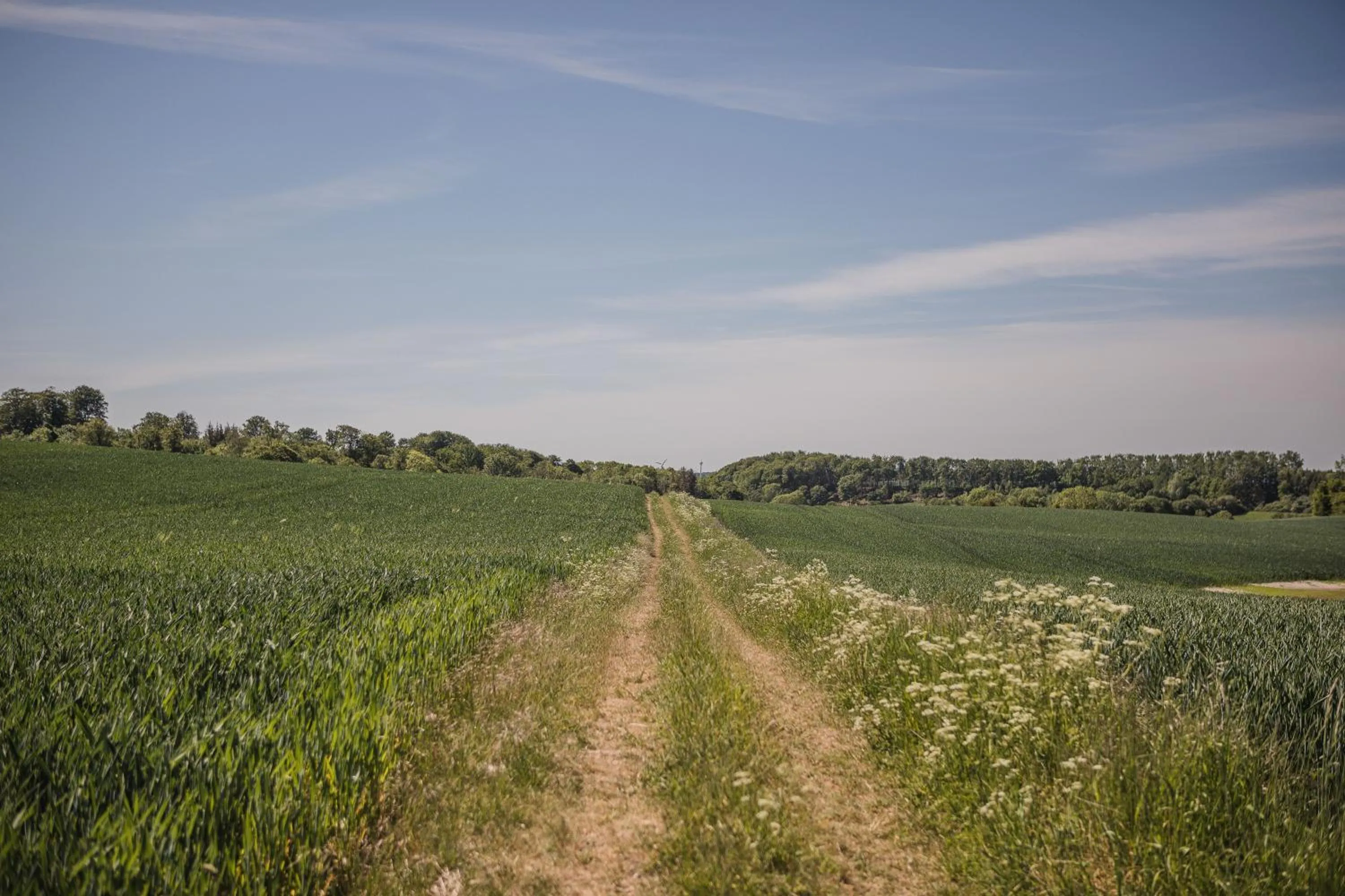 Neighbourhood in Sonnerupgaard Hotel & Konference