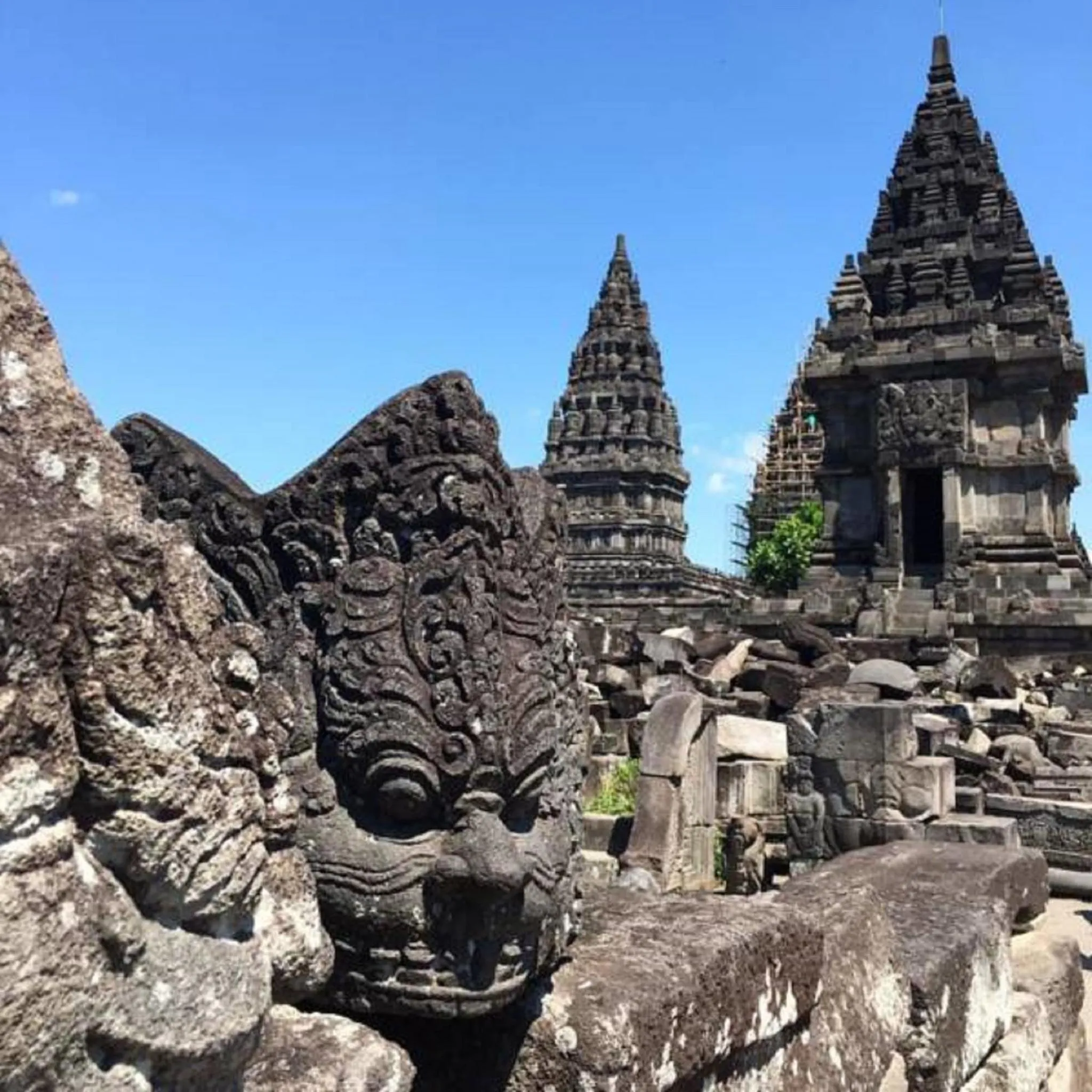 Summer in Grapyak Homestay Syariah