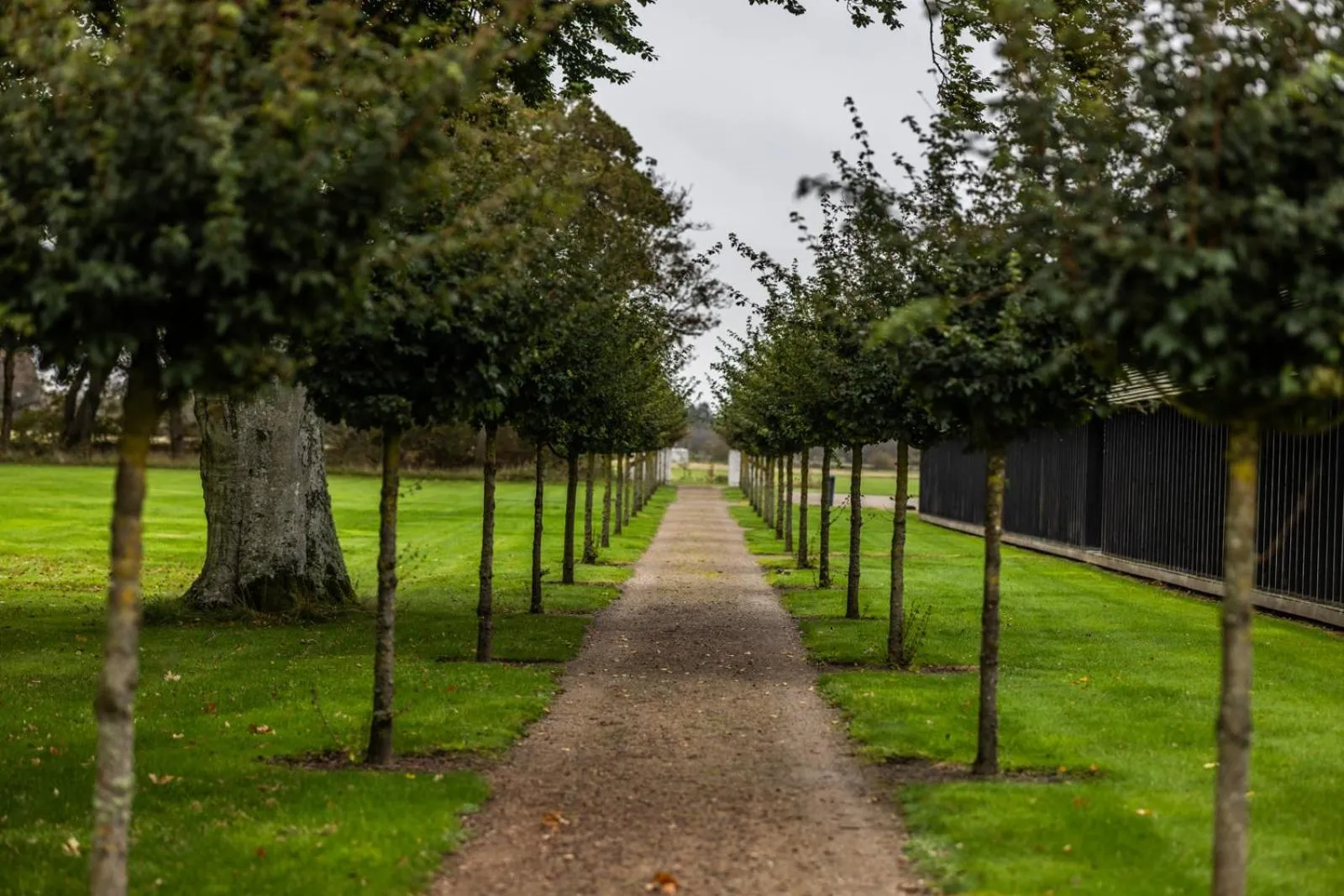 Day in Nørre Vosborg Hotel & Gastronomi