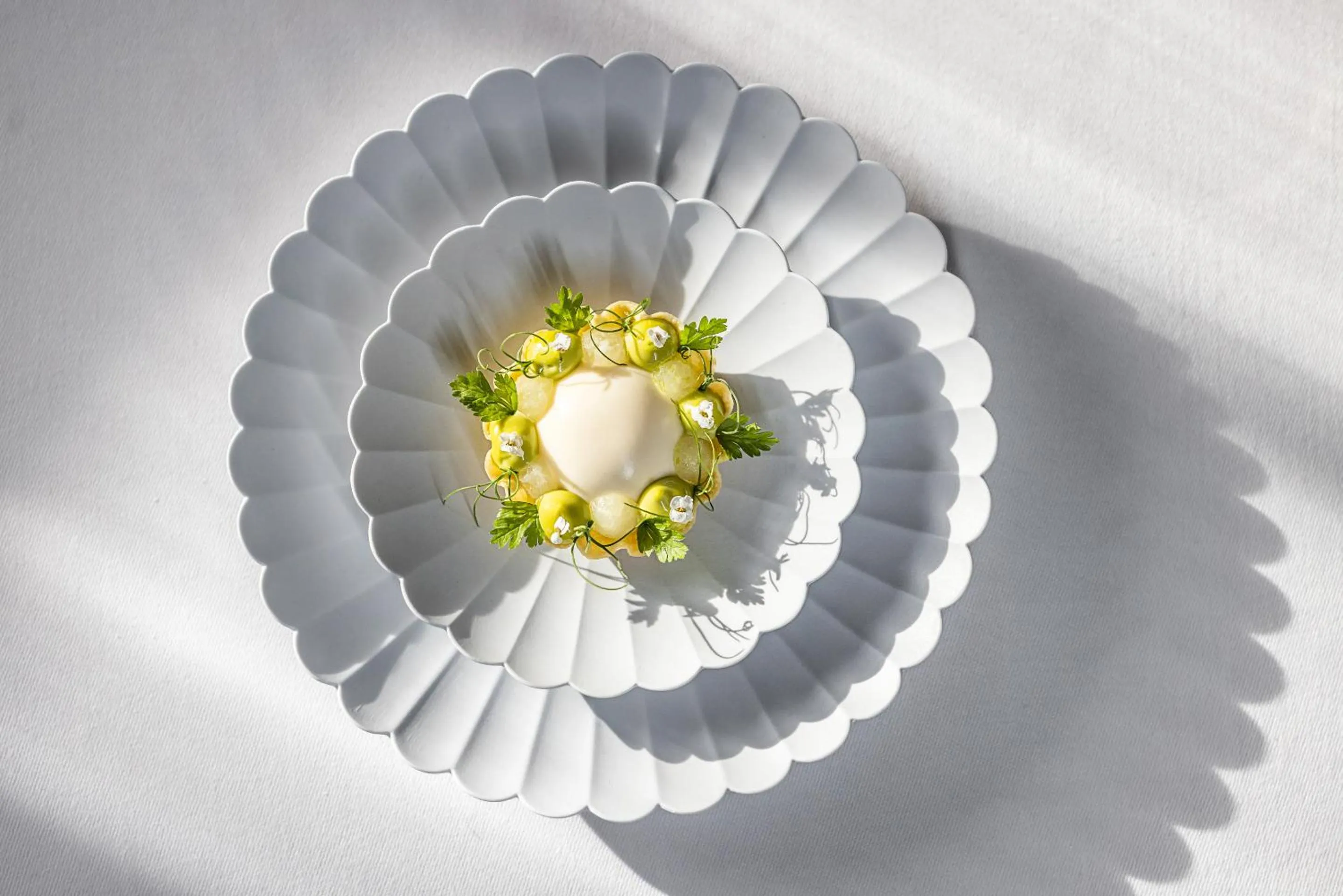 Food close-up in Nørre Vosborg Hotel & Gastronomi