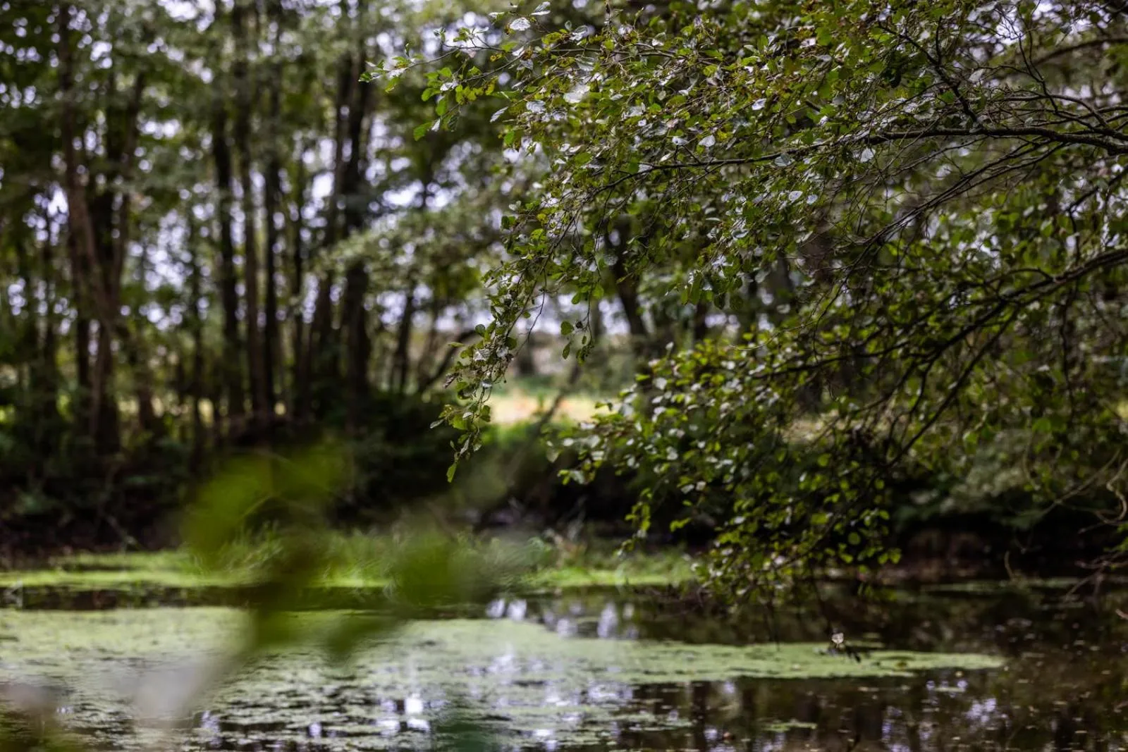 Off site in Nørre Vosborg Hotel & Gastronomi