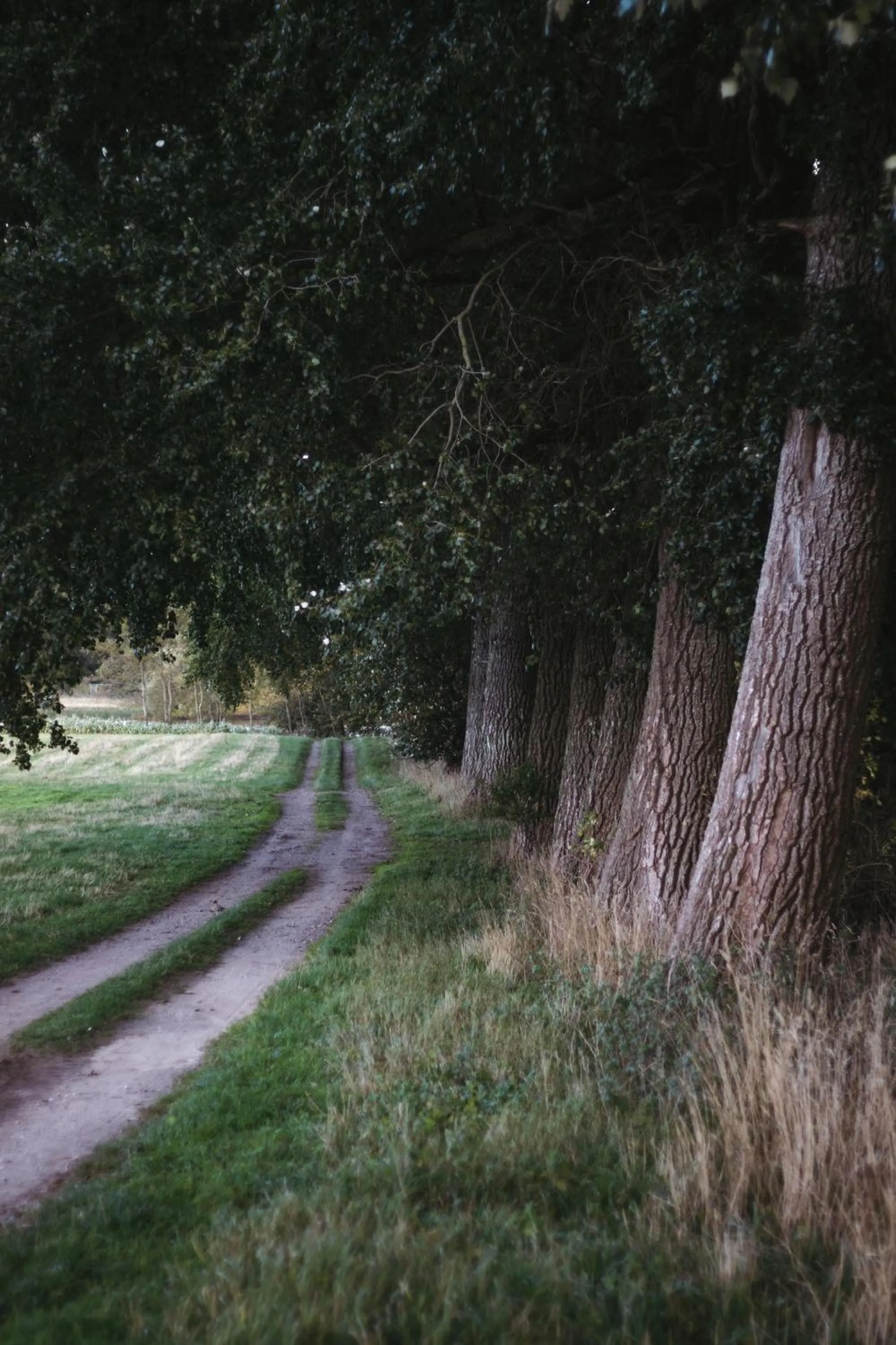 Garden in Hotel Sørup Herregaard