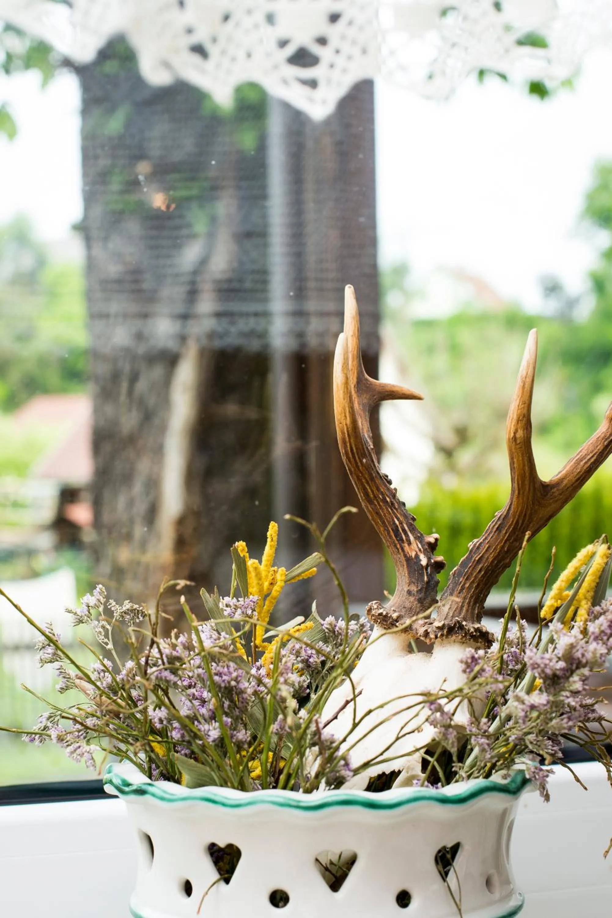 Spring in Gasthaus zur Waldschenke