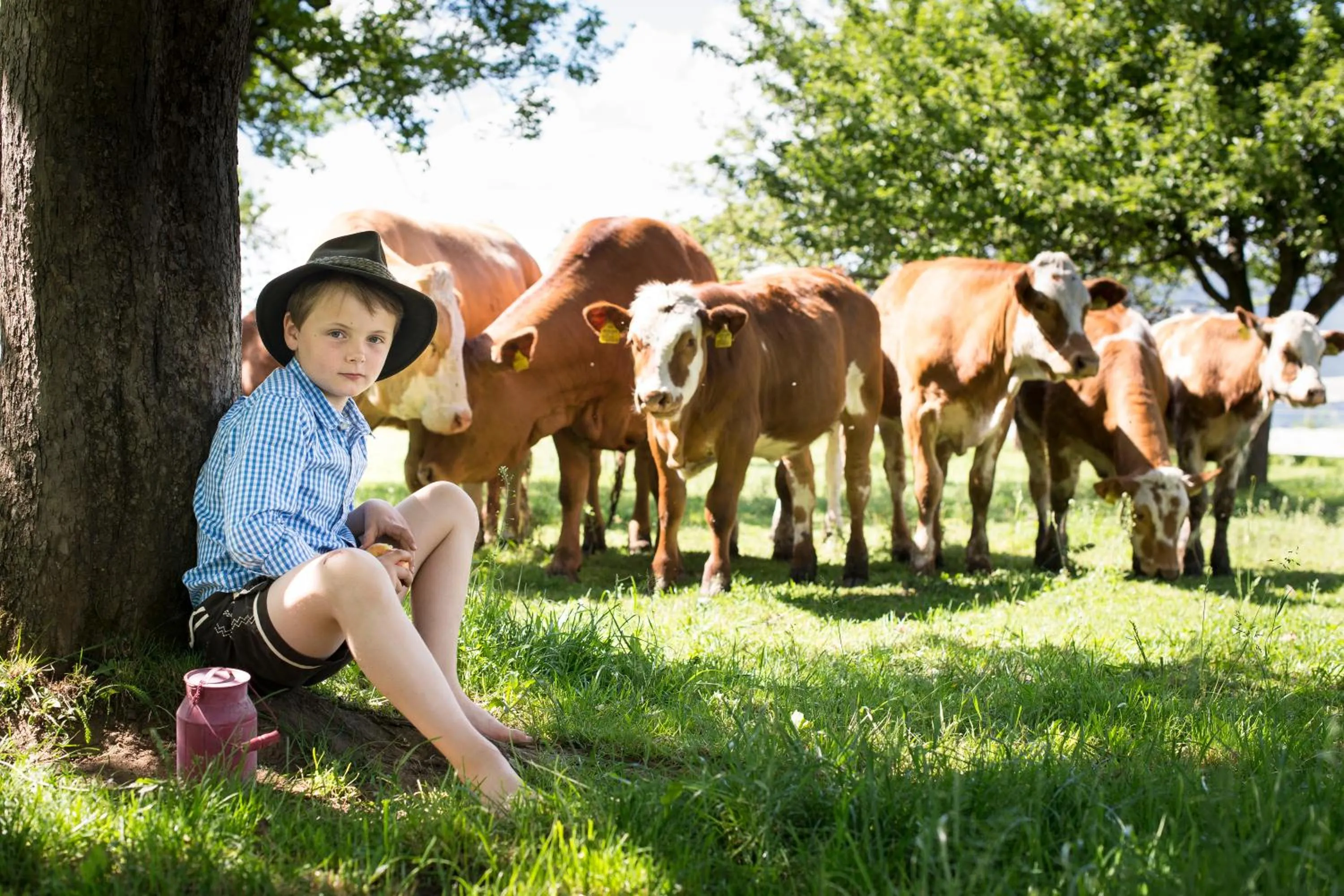 Animals in Gasthaus zur Waldschenke