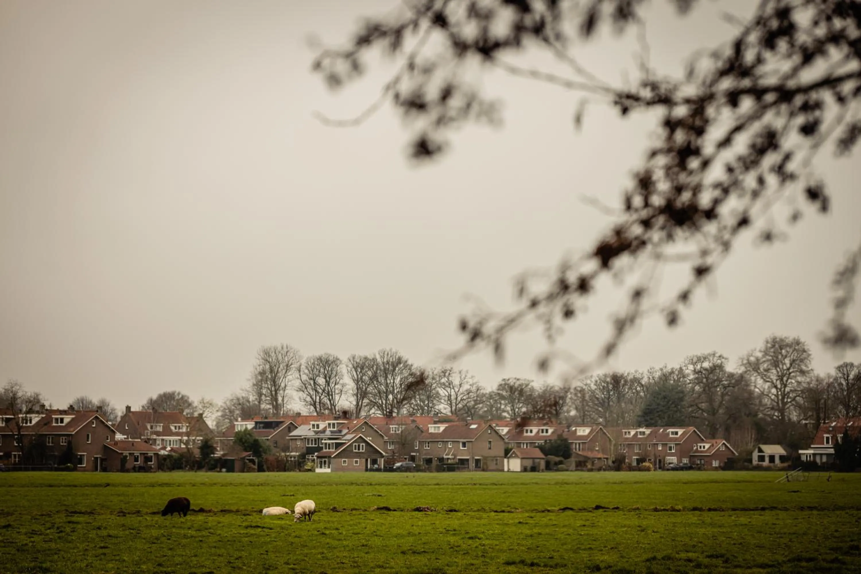 View (from property/room) in Boutique Hotel De Witte Dame