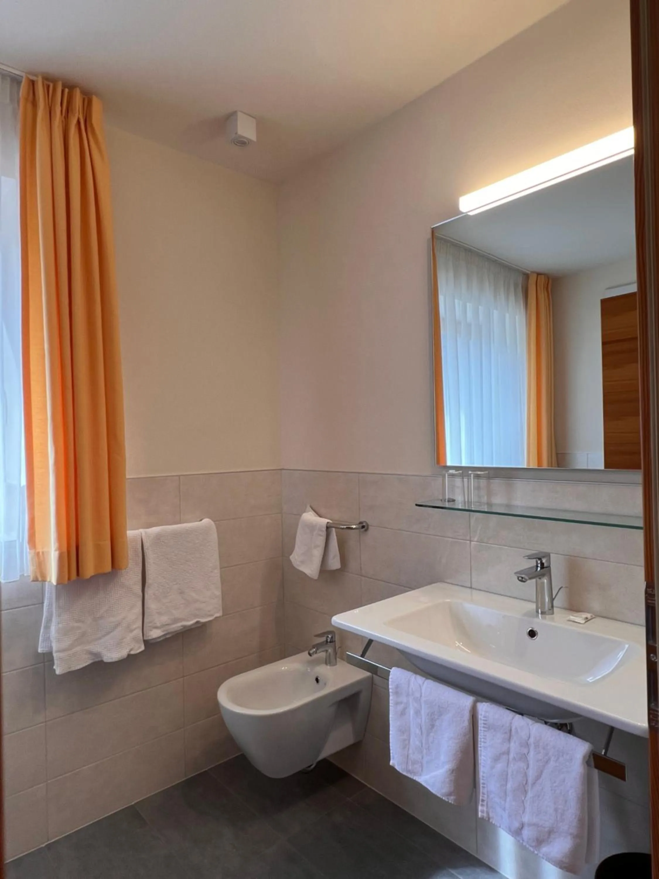 Toilet in Gasthaus zum Weissen Kreuz