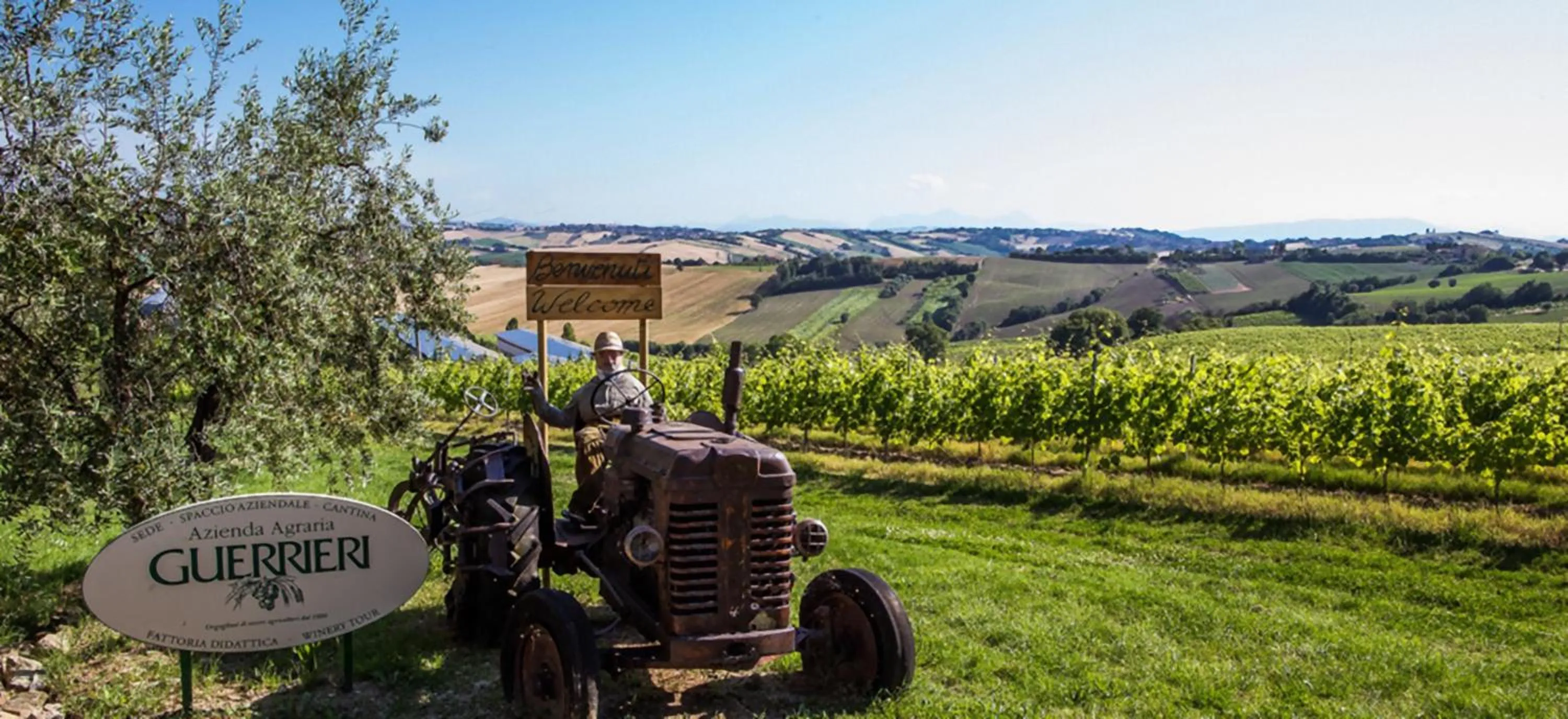 Nearby landmark in Valle del Metauro Country House