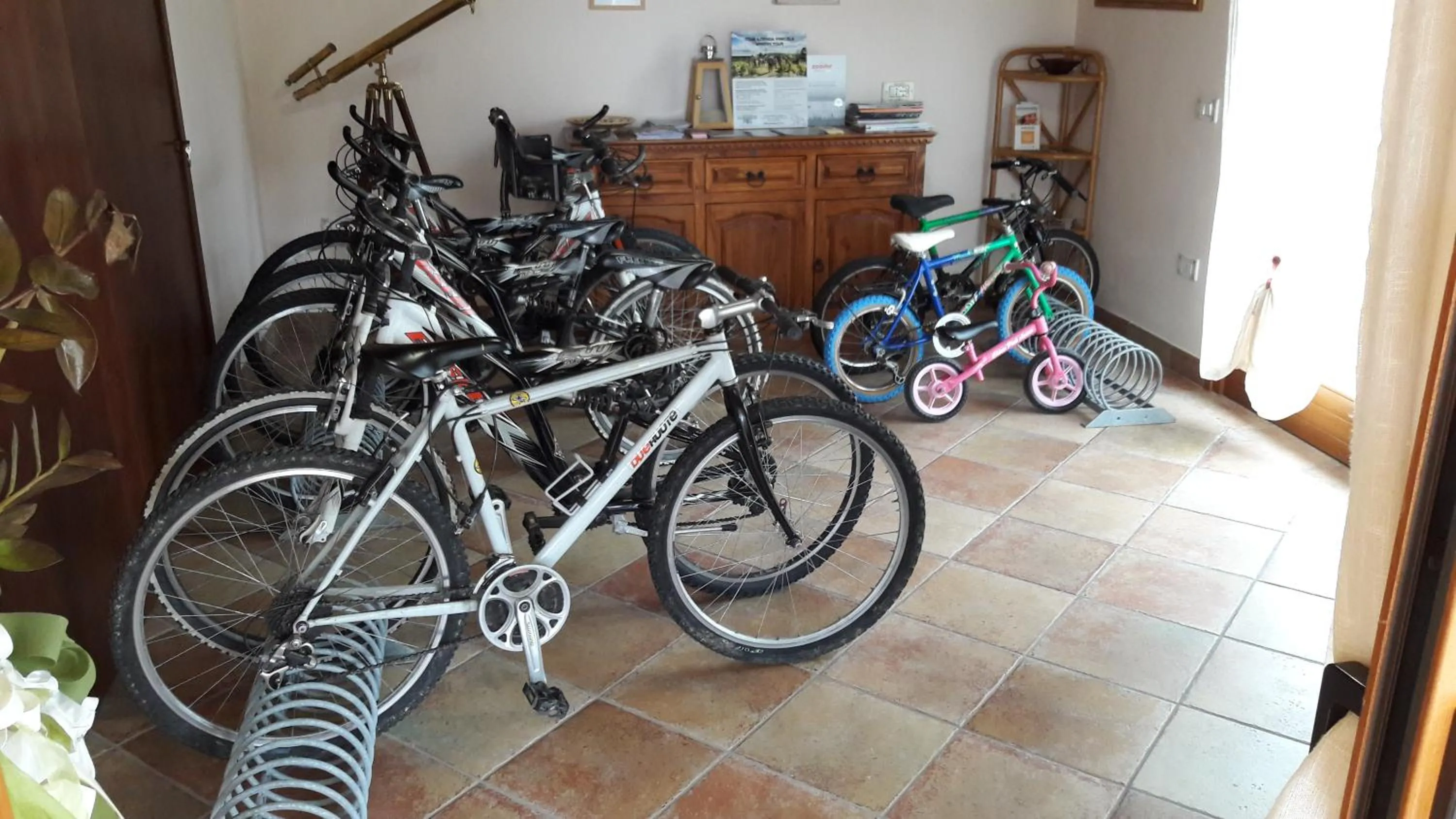 Cycling in Valle del Metauro Country House