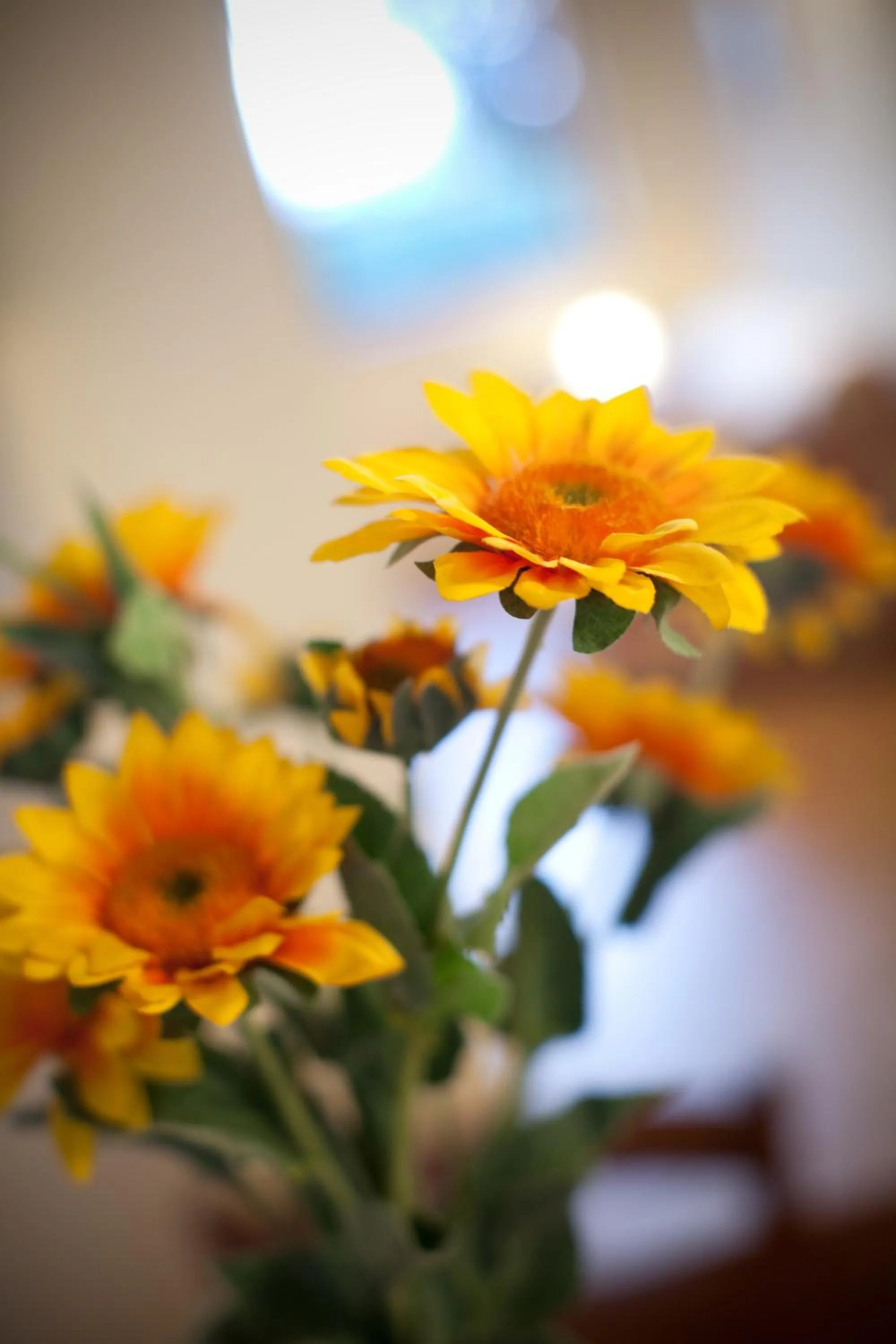 Decorative detail in Valle del Metauro Country House