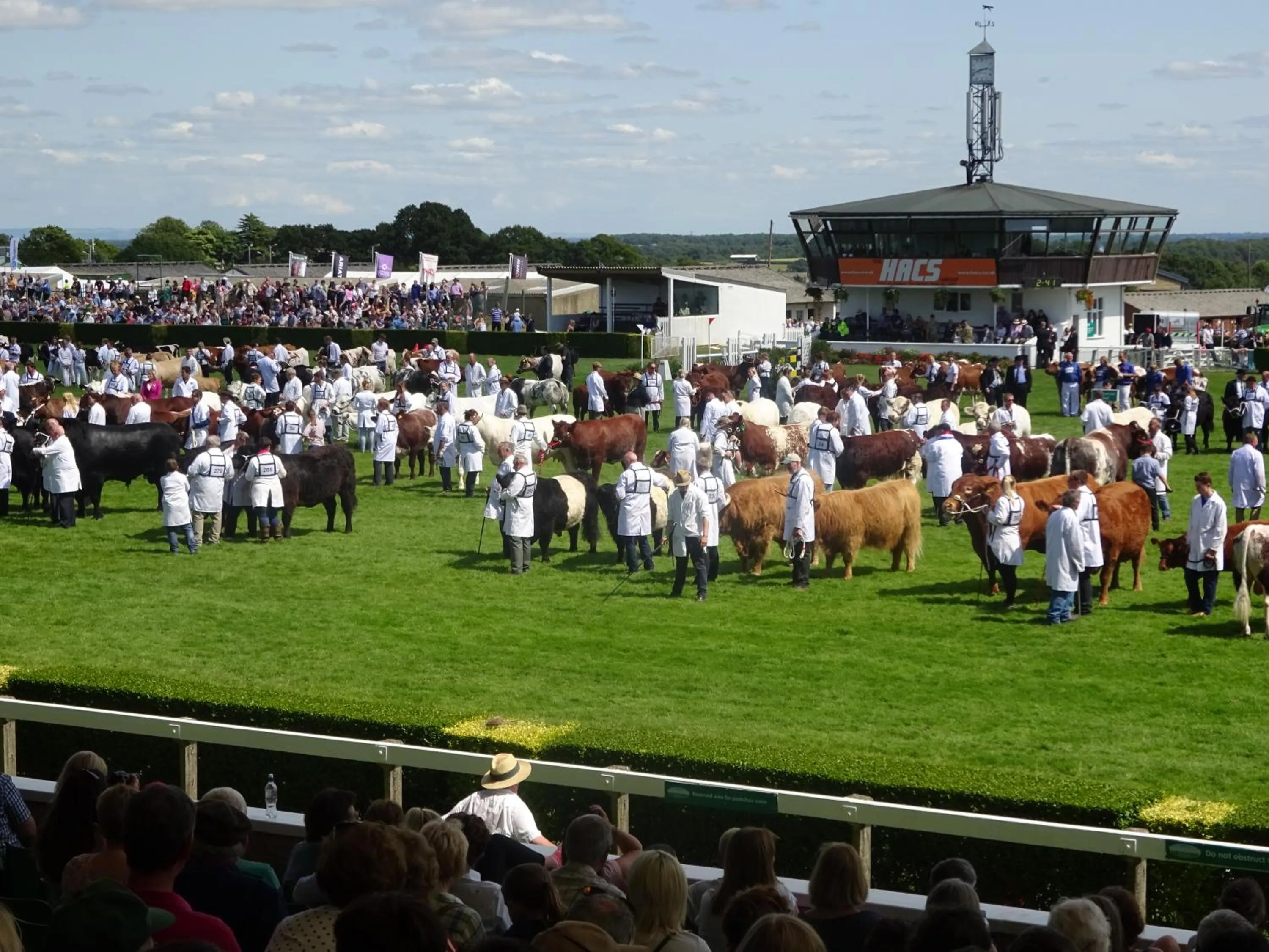 Off site in Chequers Inn