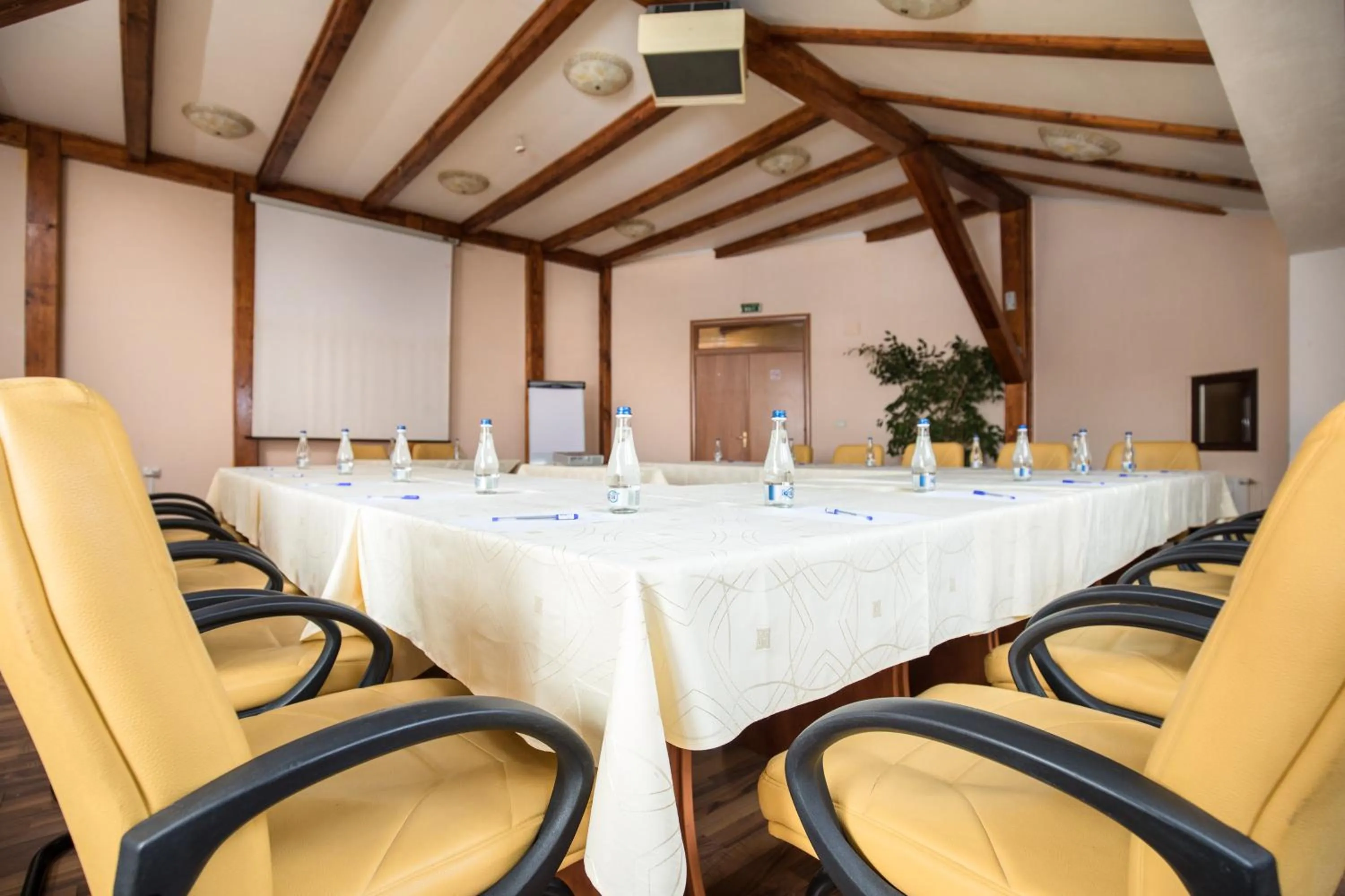 Business facilities in Hotel Rozmarin