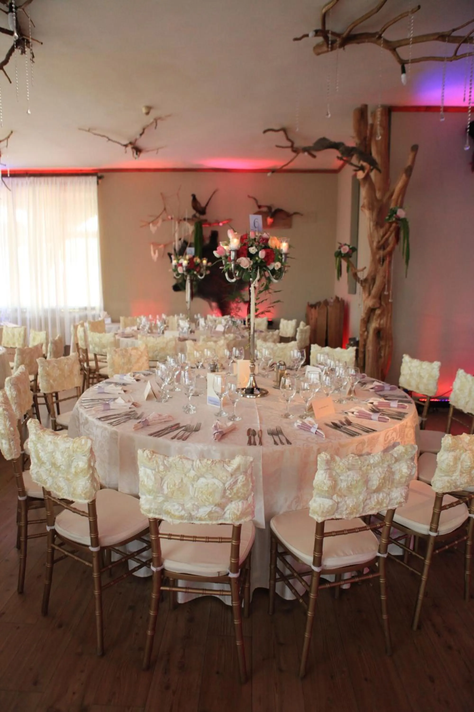 Restaurant/places to eat in Hotel Rozmarin