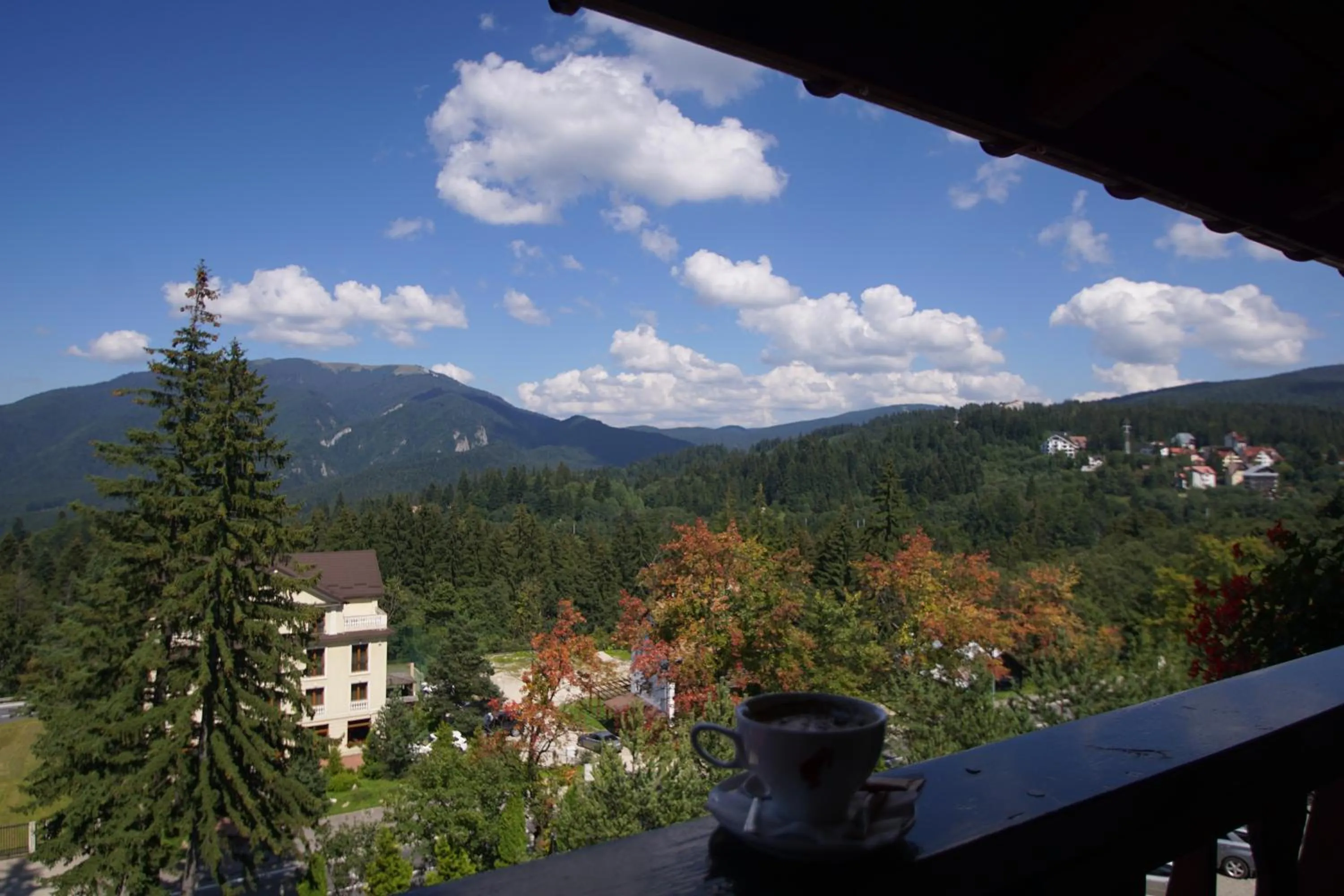 Balcony/Terrace in Hotel Rozmarin