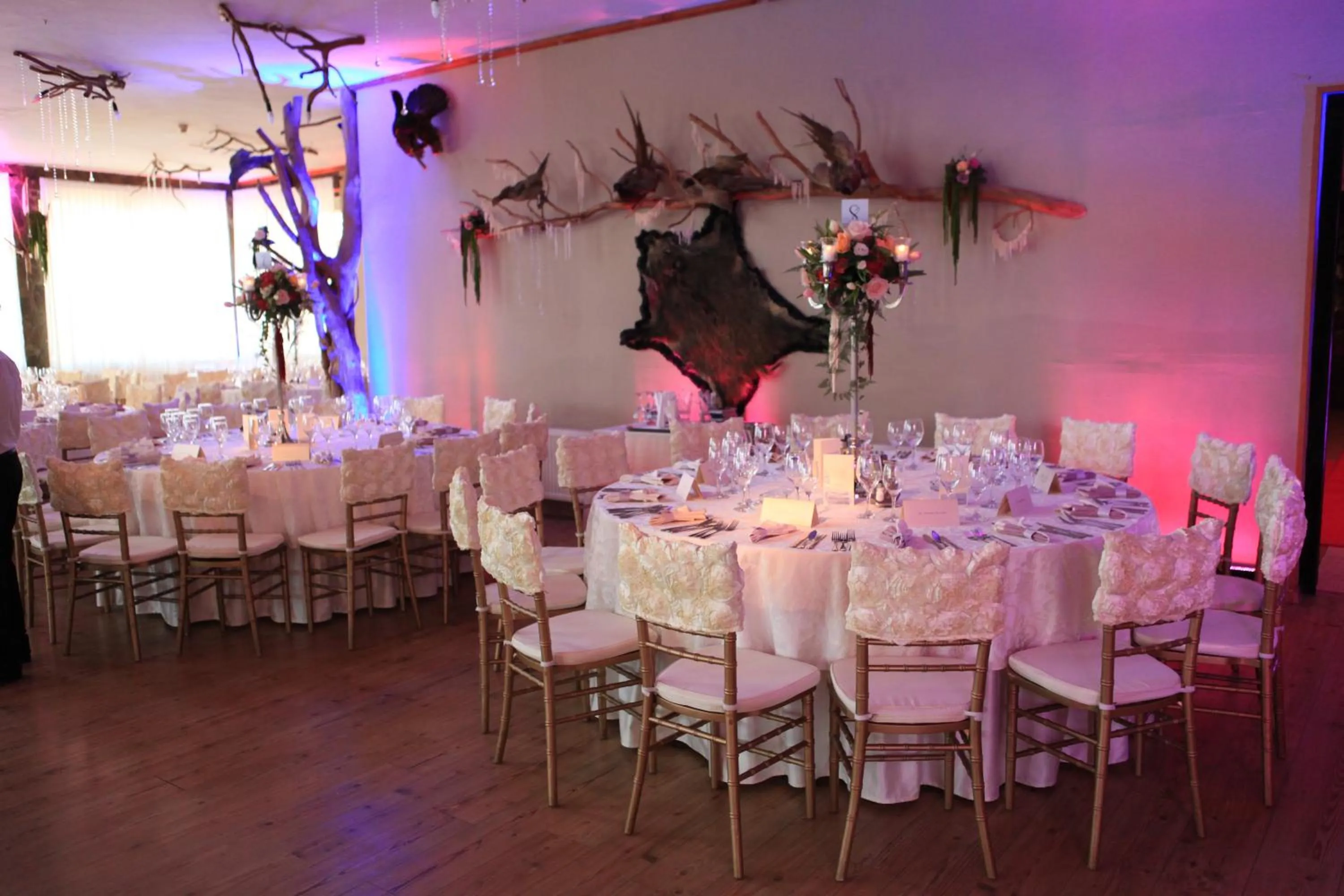 Restaurant/places to eat in Hotel Rozmarin