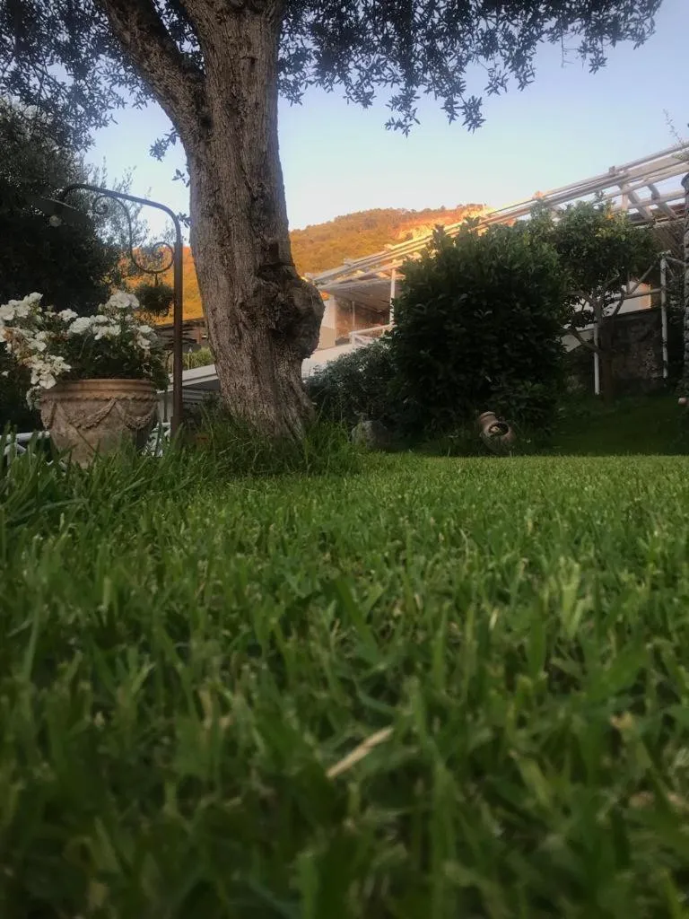 Natural landscape in Relais Villa Anna