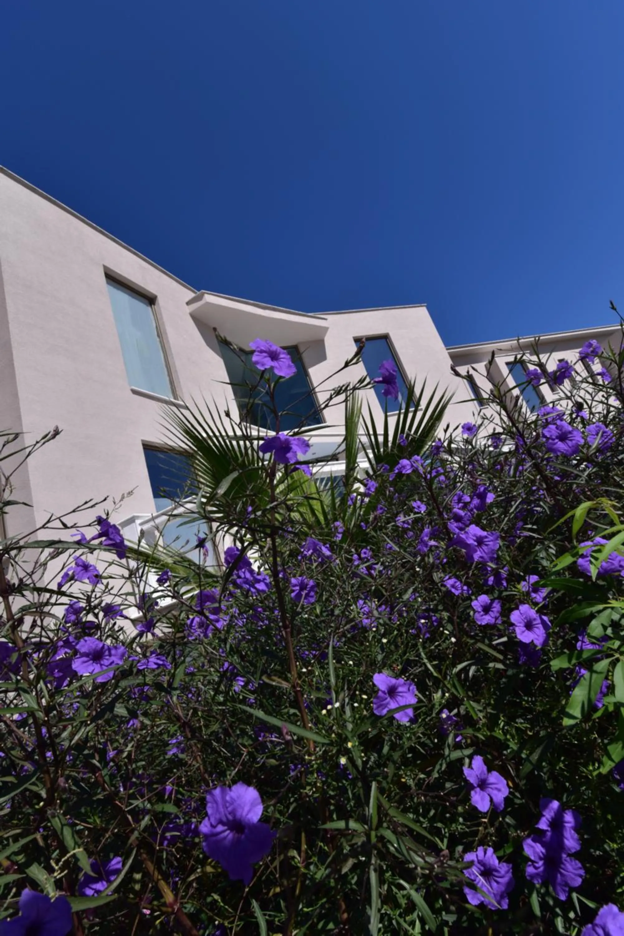 Property building in Viva Mare Hotel & Spa