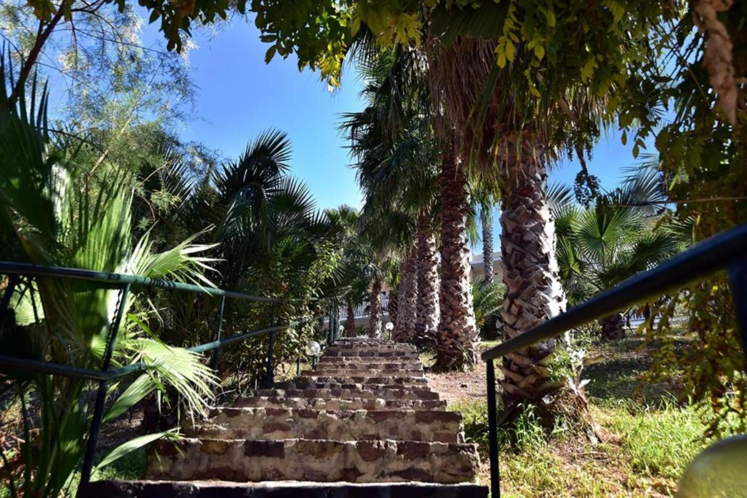 Natural landscape in Viva Mare Hotel & Spa