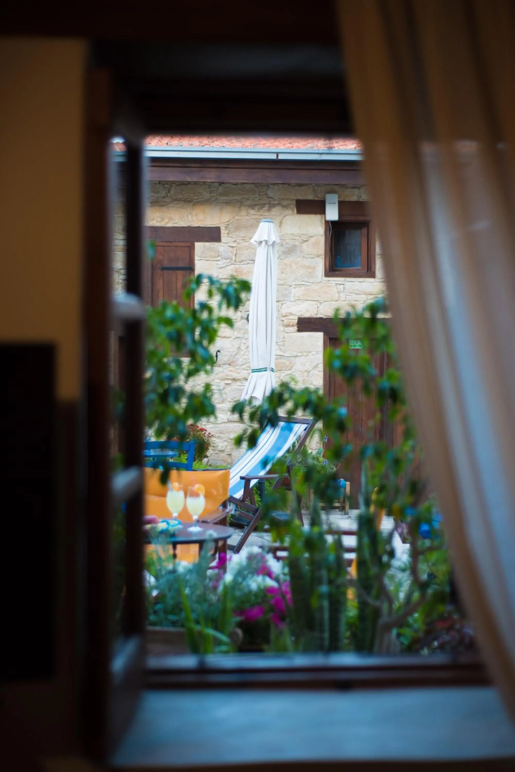 Garden view in Niki's House