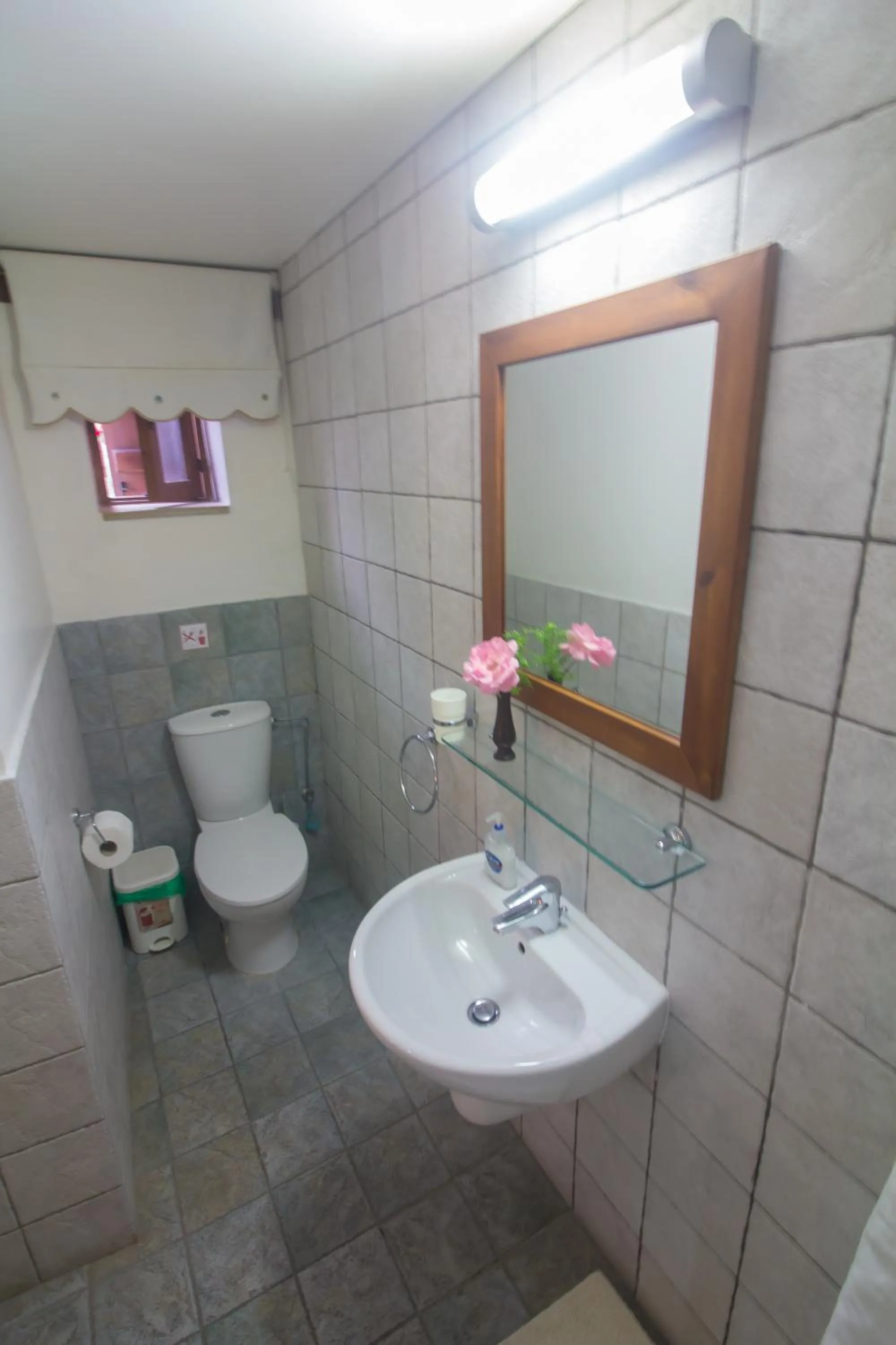 Bathroom in Niki's House