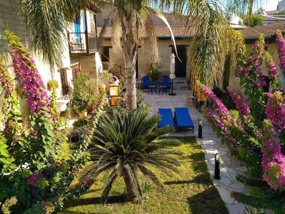 Garden view in Niki's House