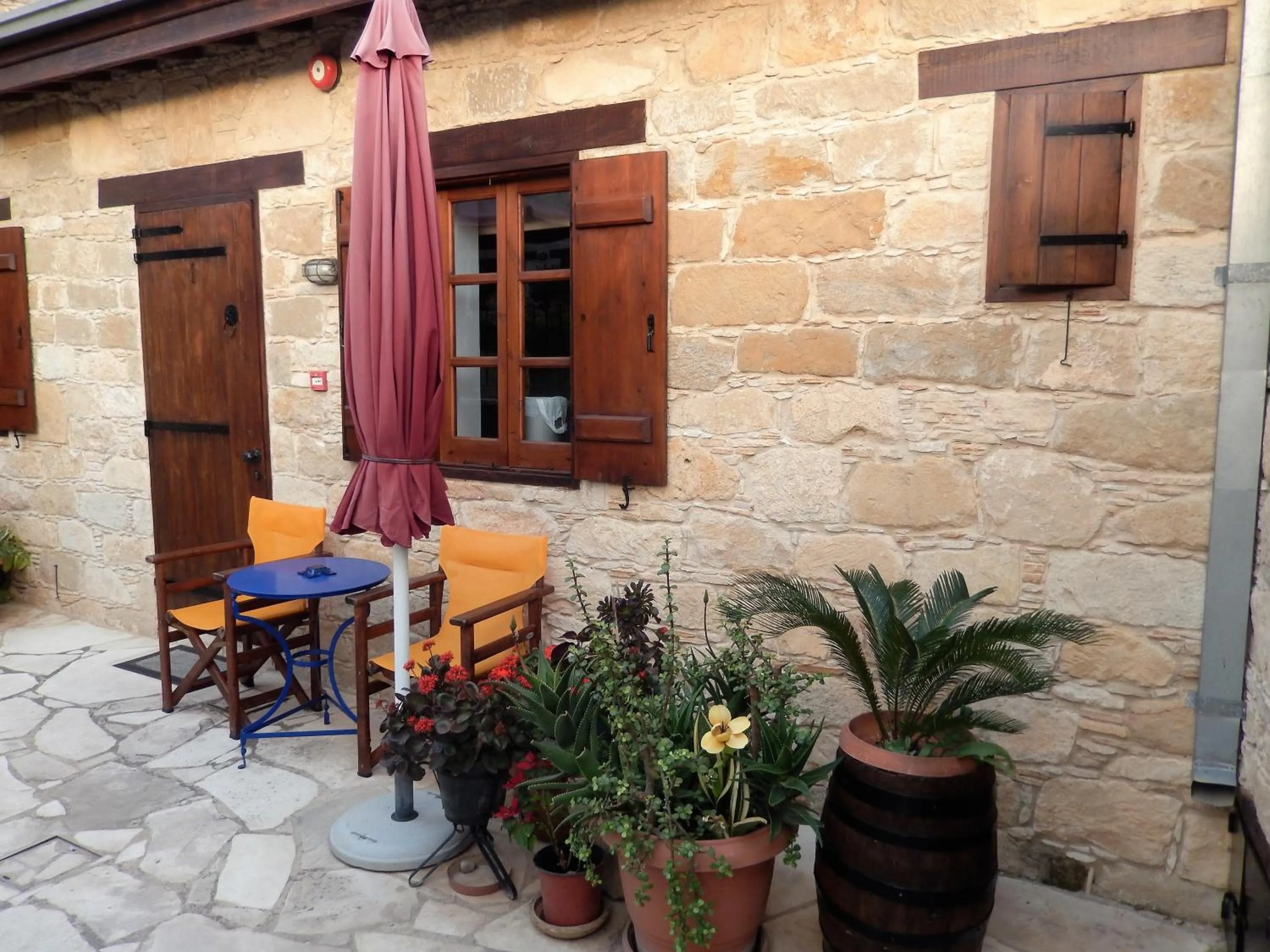 Garden in Niki's House