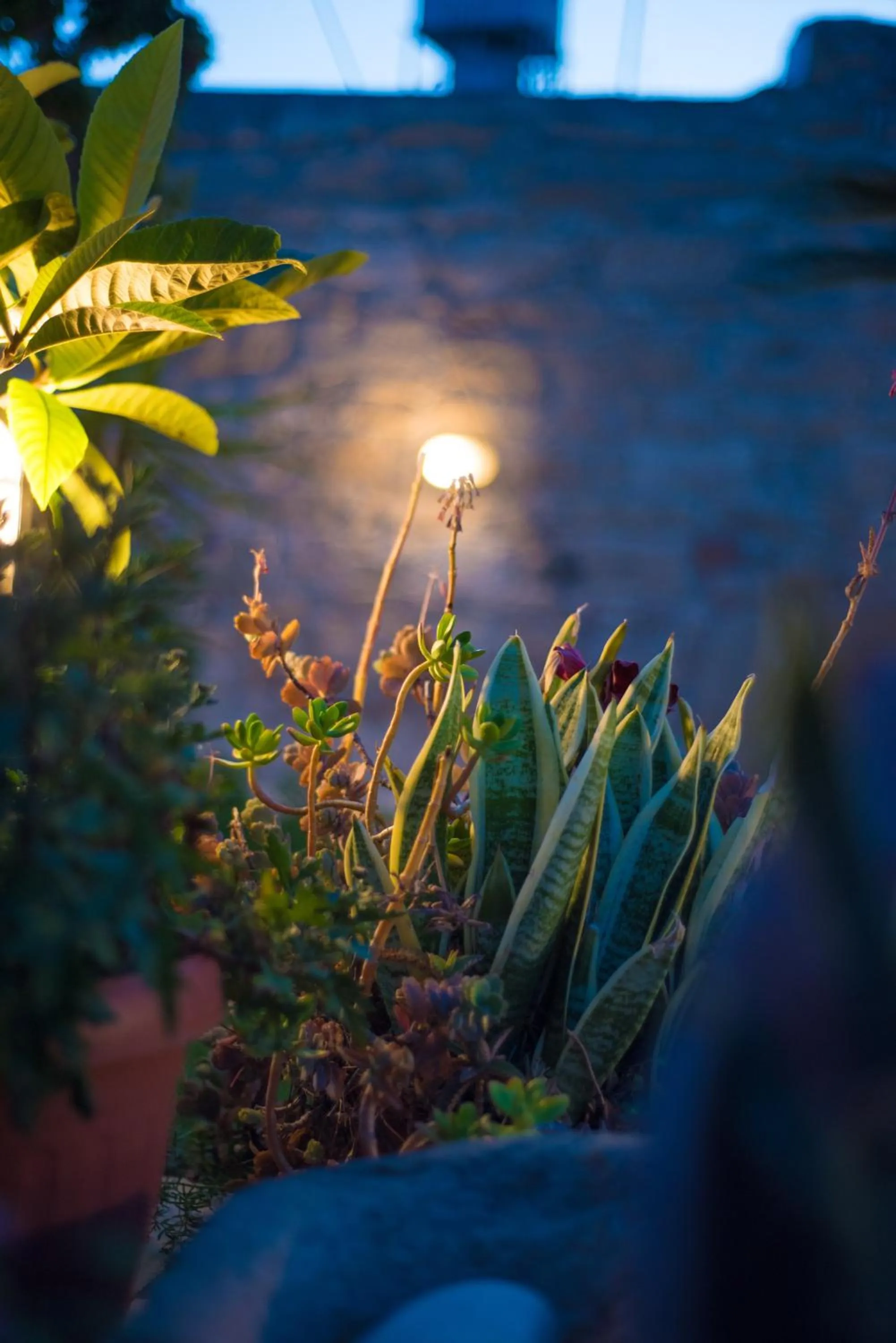 Decorative detail in Niki's House