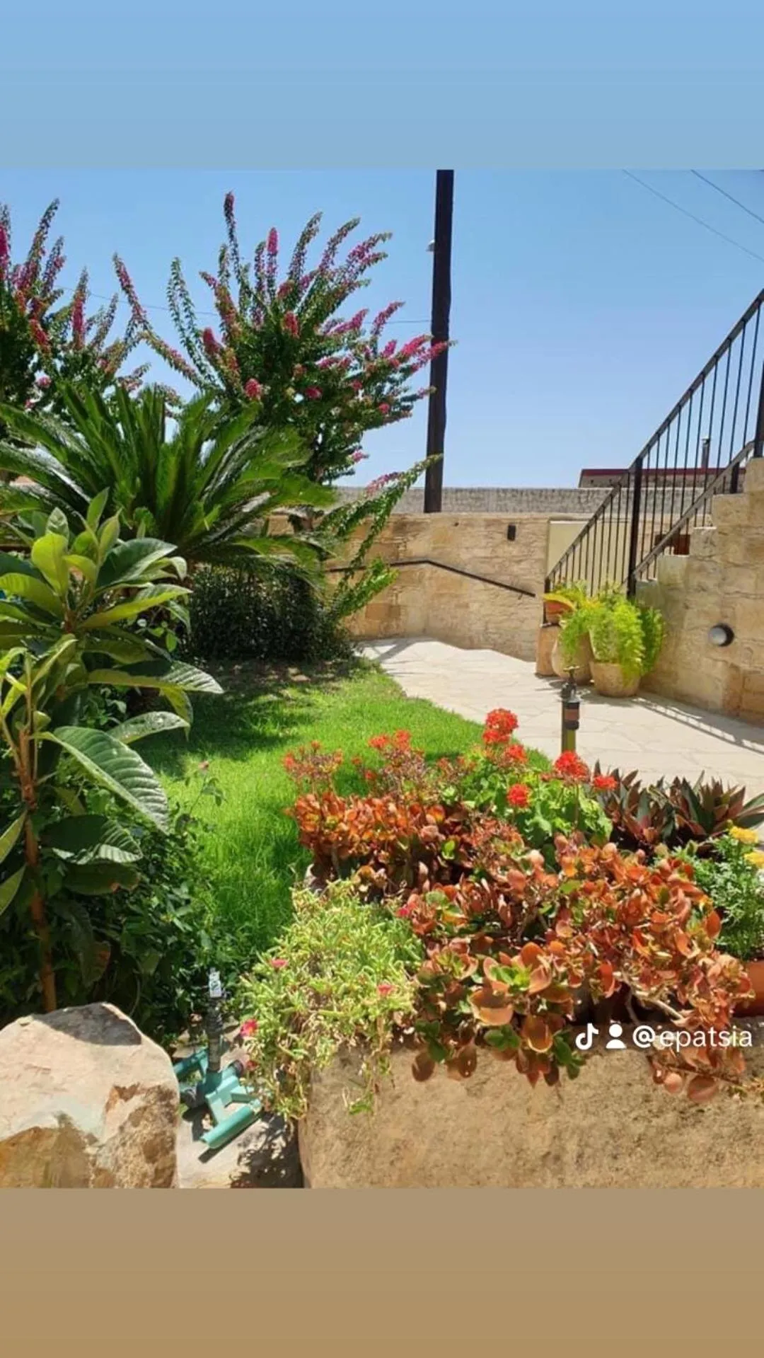 Garden in Niki's House