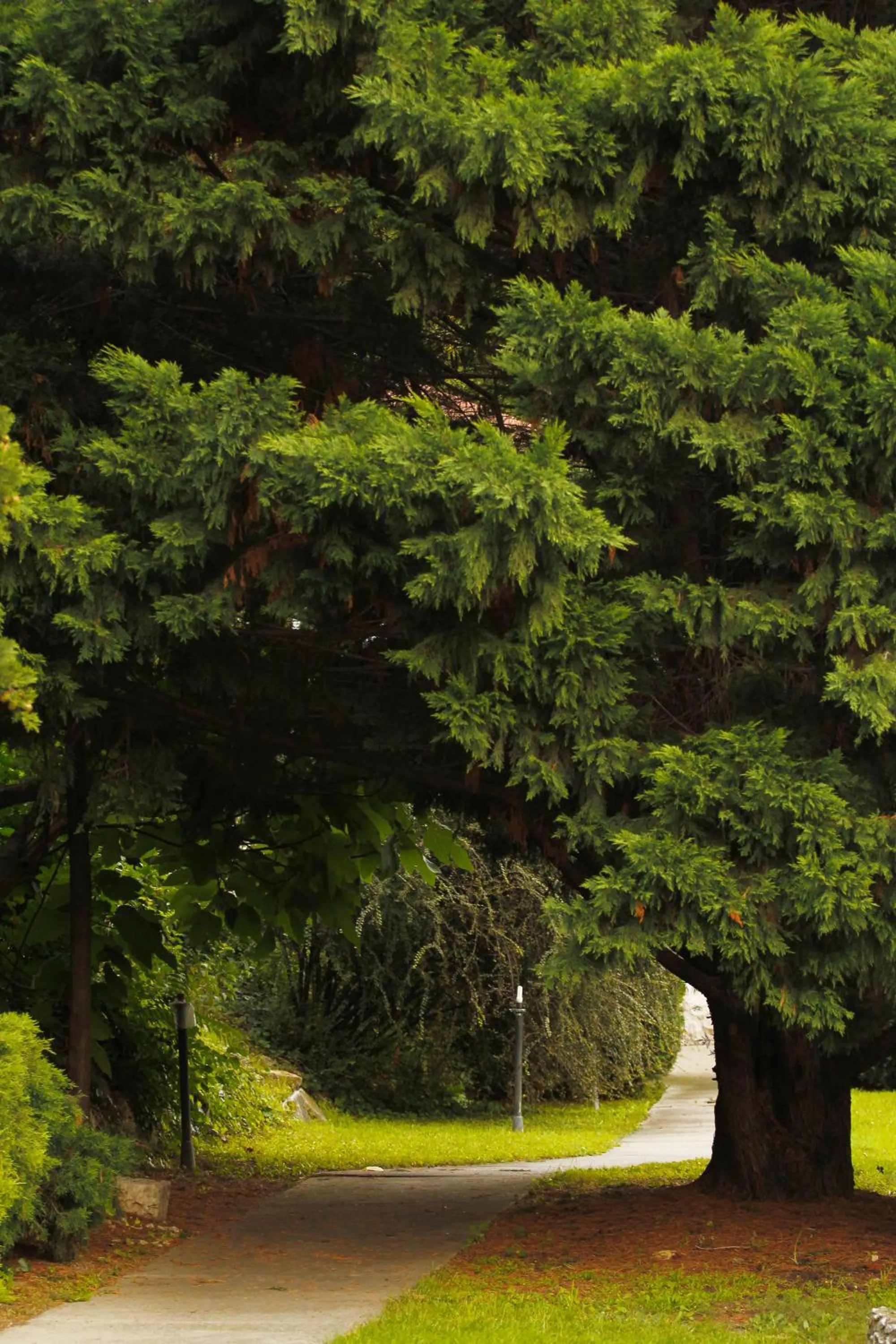 Garden in Kalmár Panzió
