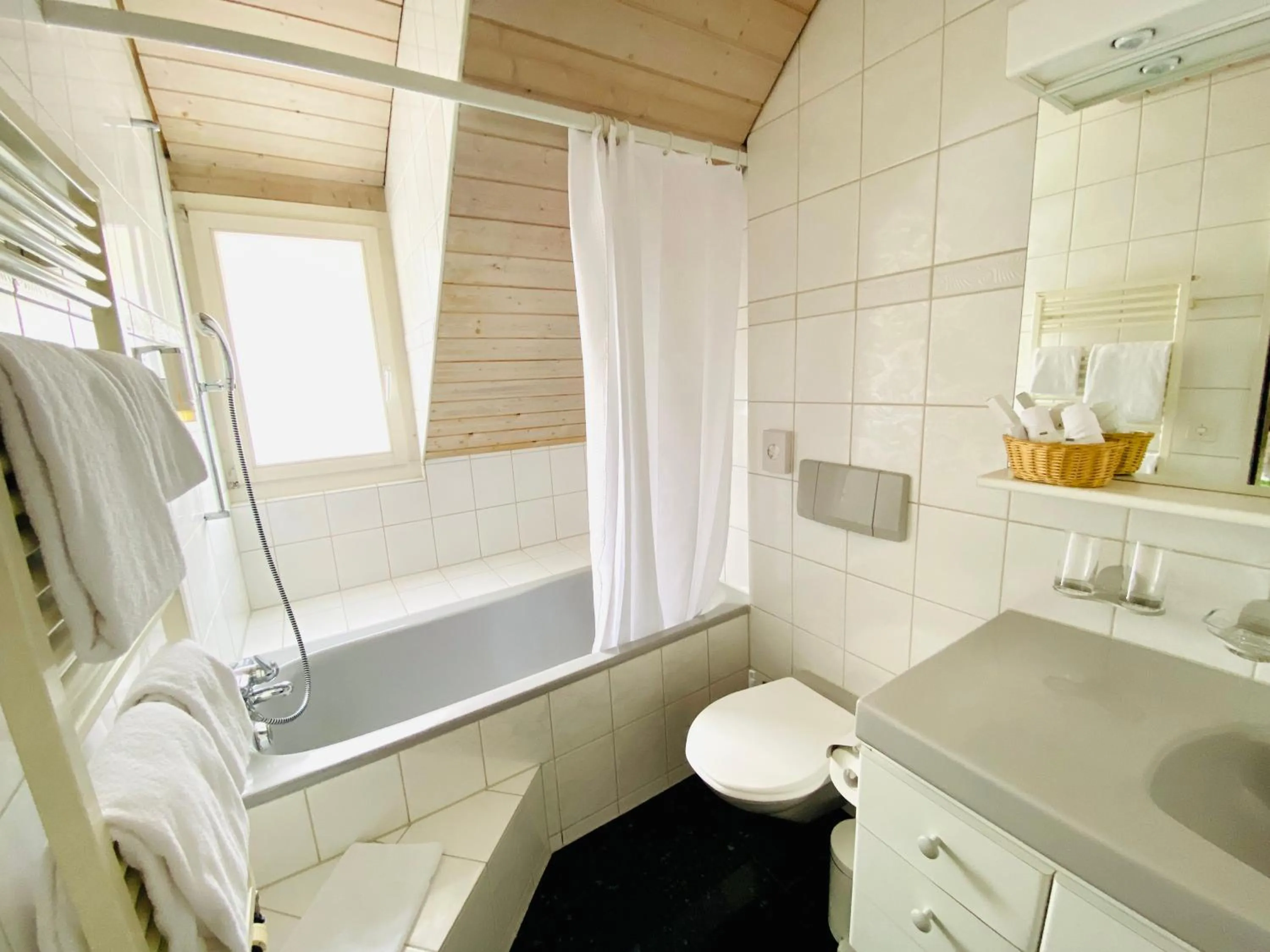 Shower in Gasthof Kreuz Egerkingen