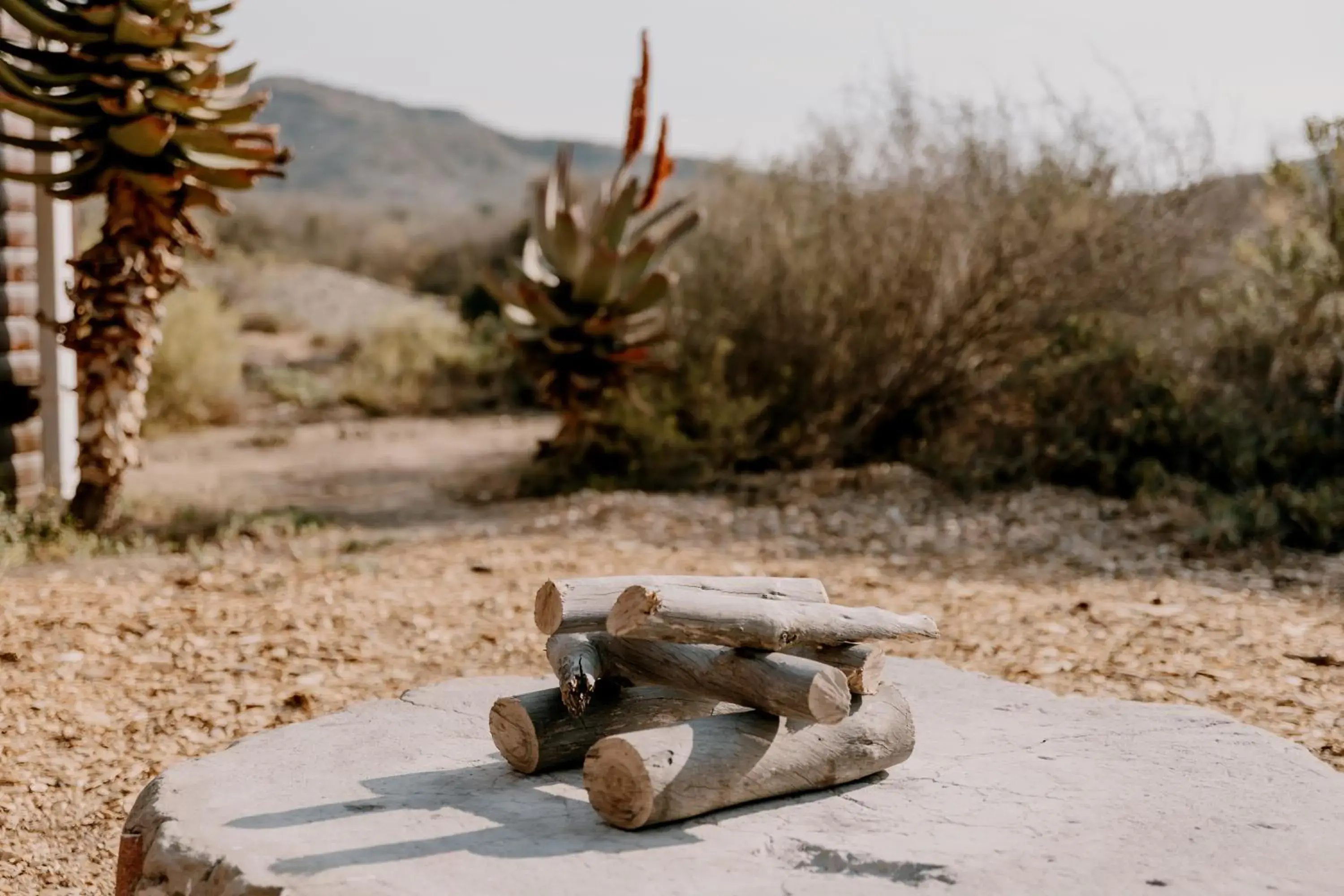 One-Bedroom Bungalow - single occupancy - Rustic Log Home in Chandelier Game Lodge One-Bedroom Bungalow - single occupancy - Rustic Log Home in Chandelier Game Lodge