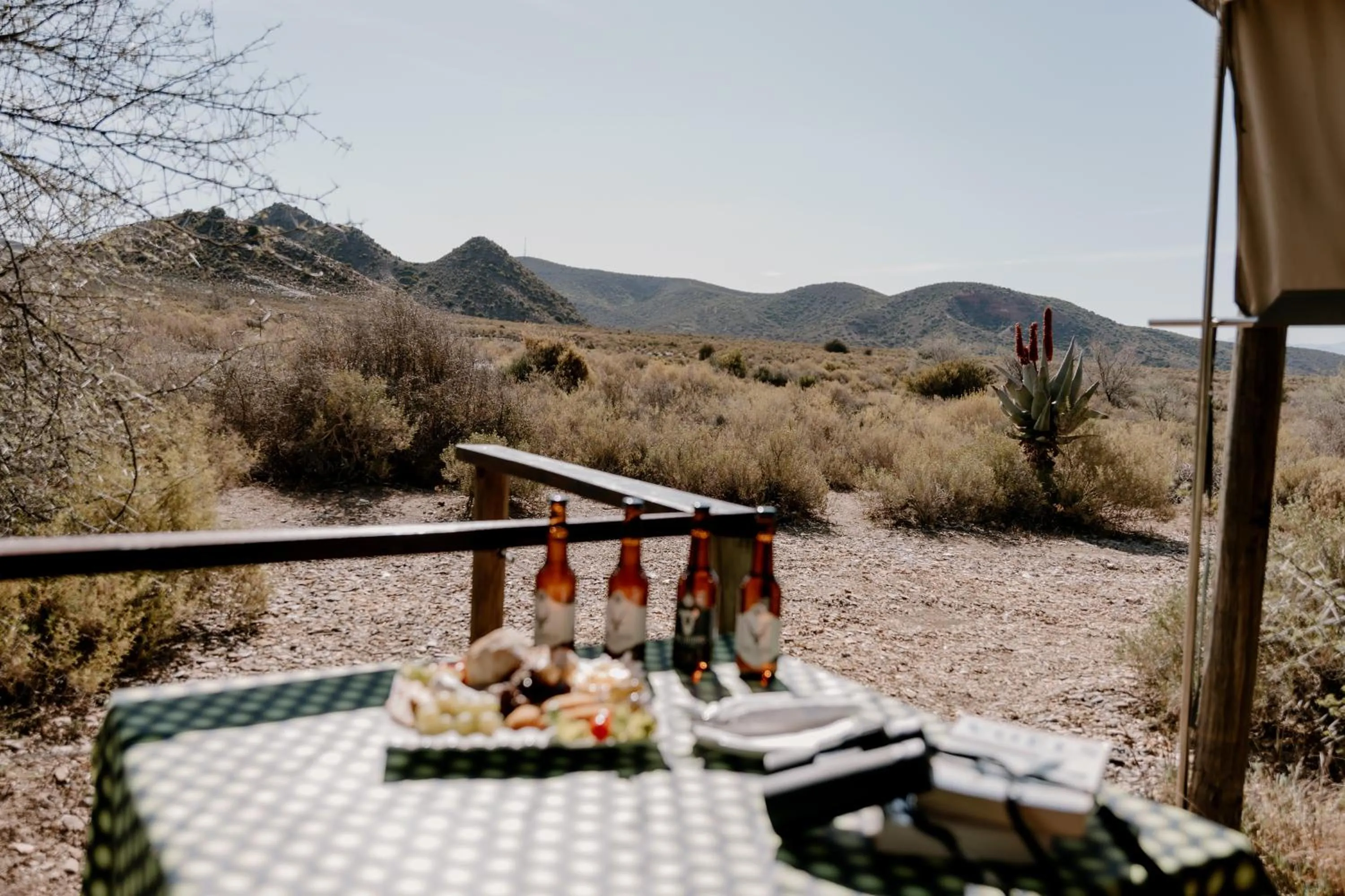 Chandelier Game Lodge