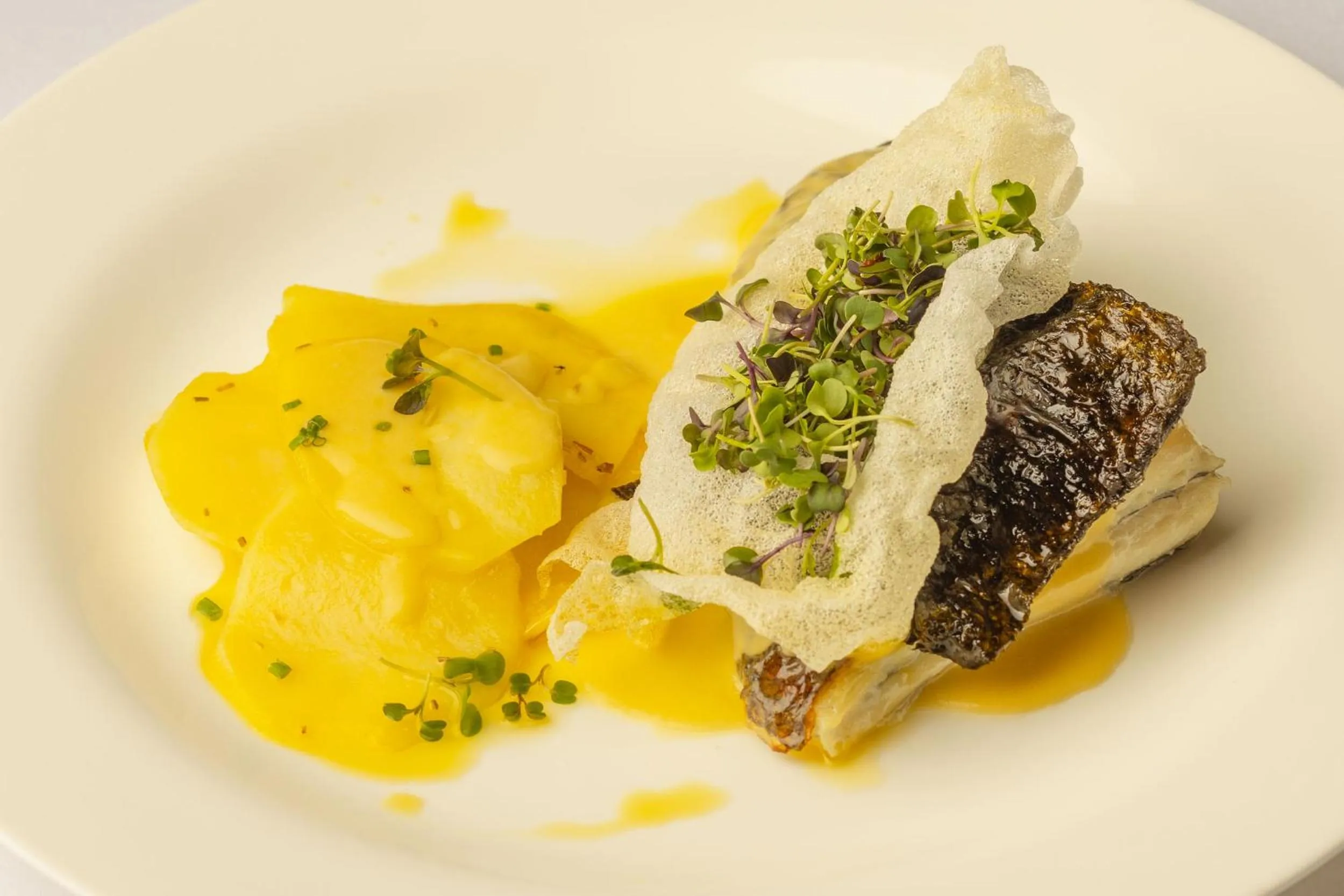 Restaurant/places to eat in Hotel Viura