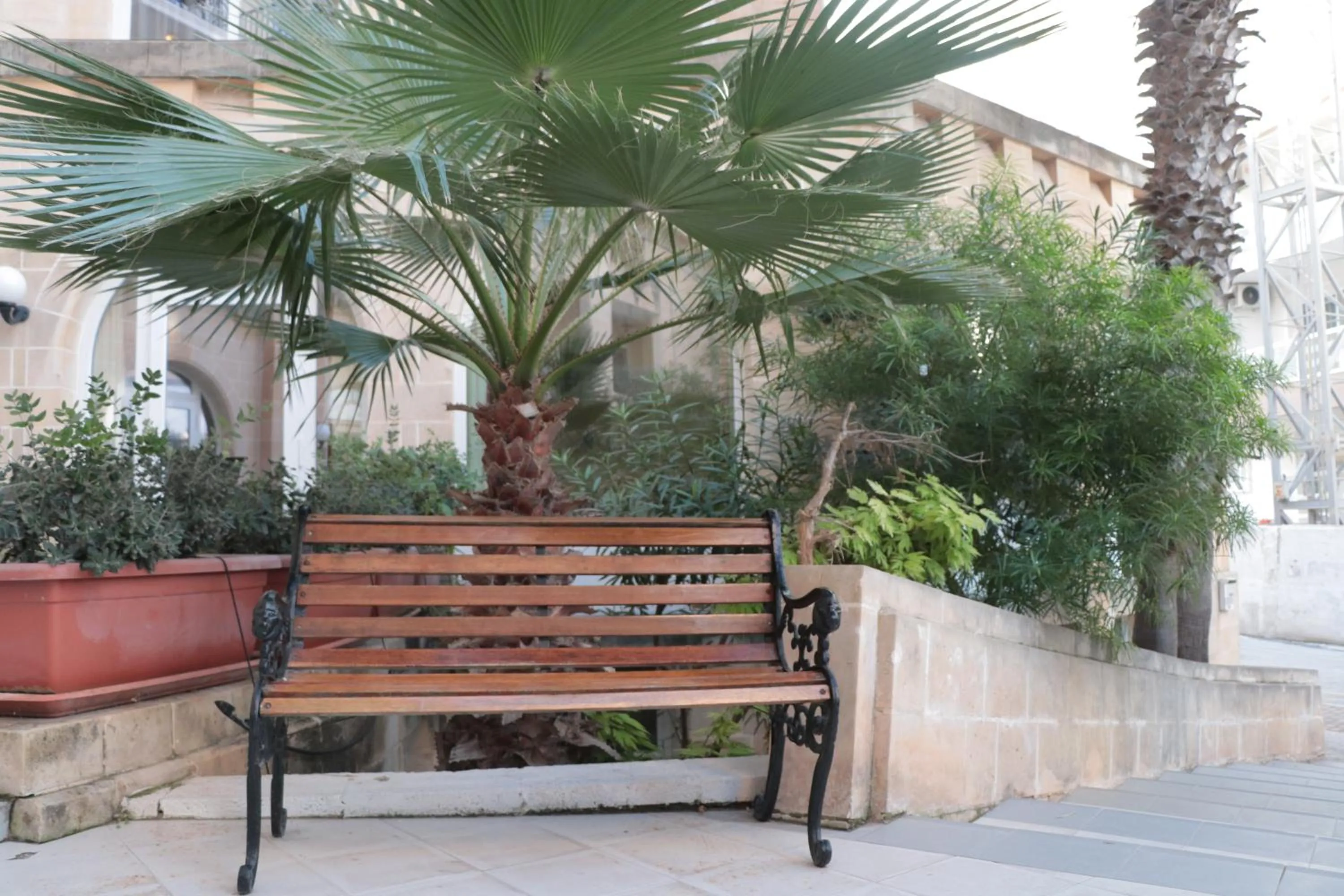 Garden in Il Palazzin Hotel
