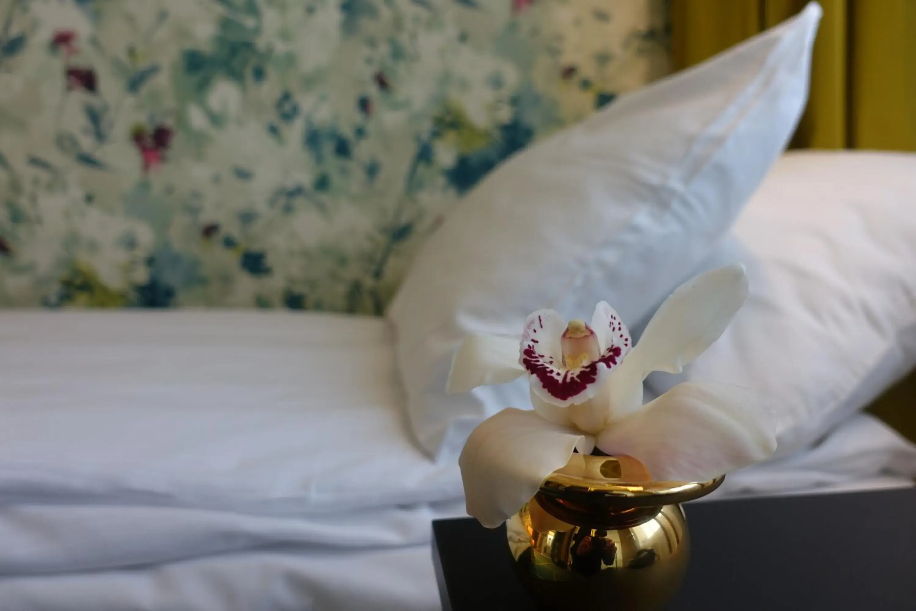 Standard Single Room in Thon Hotel Lofoten Standard Single Room in Thon Hotel Lofoten