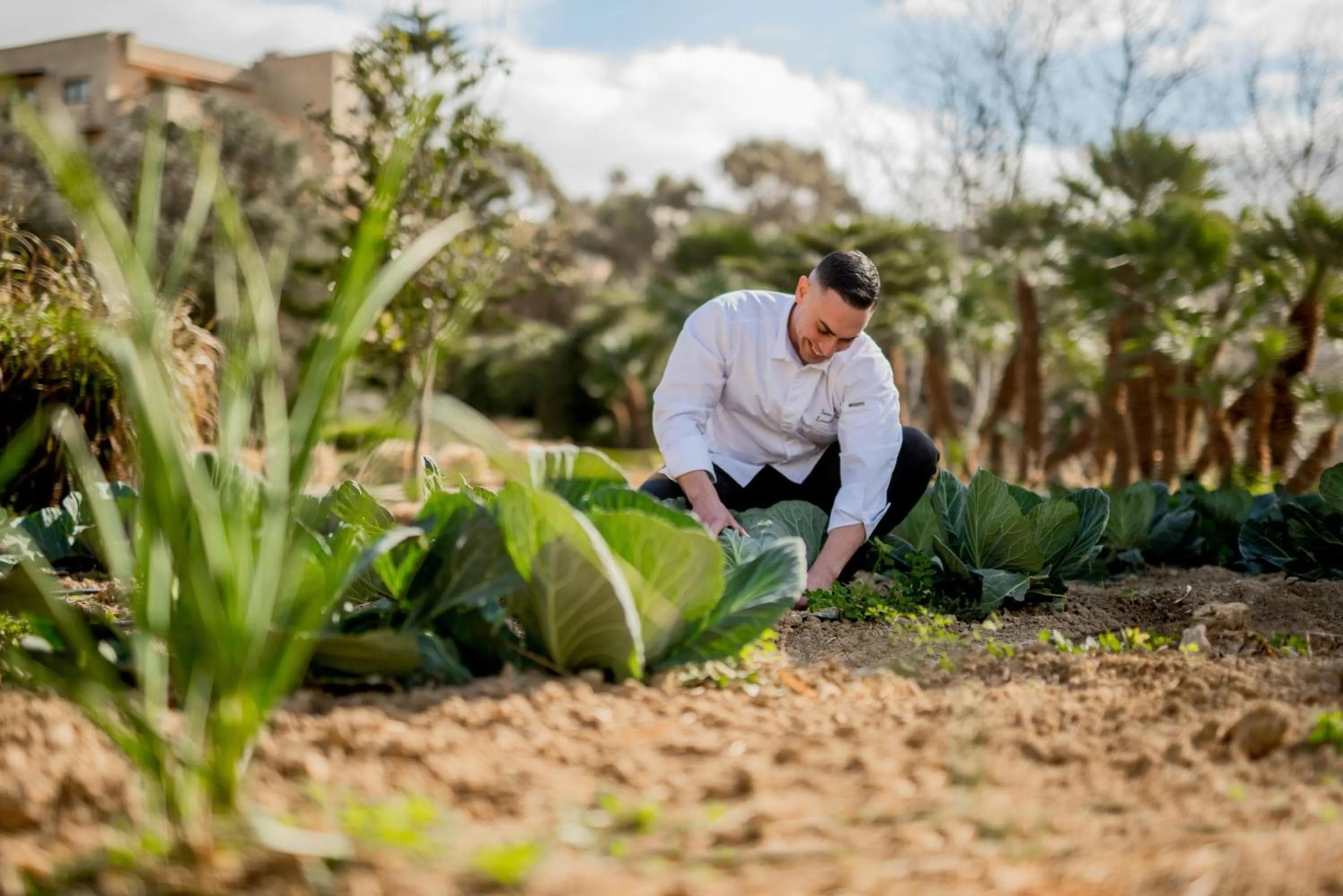 Property building in Kempinski Hotel San Lawrenz