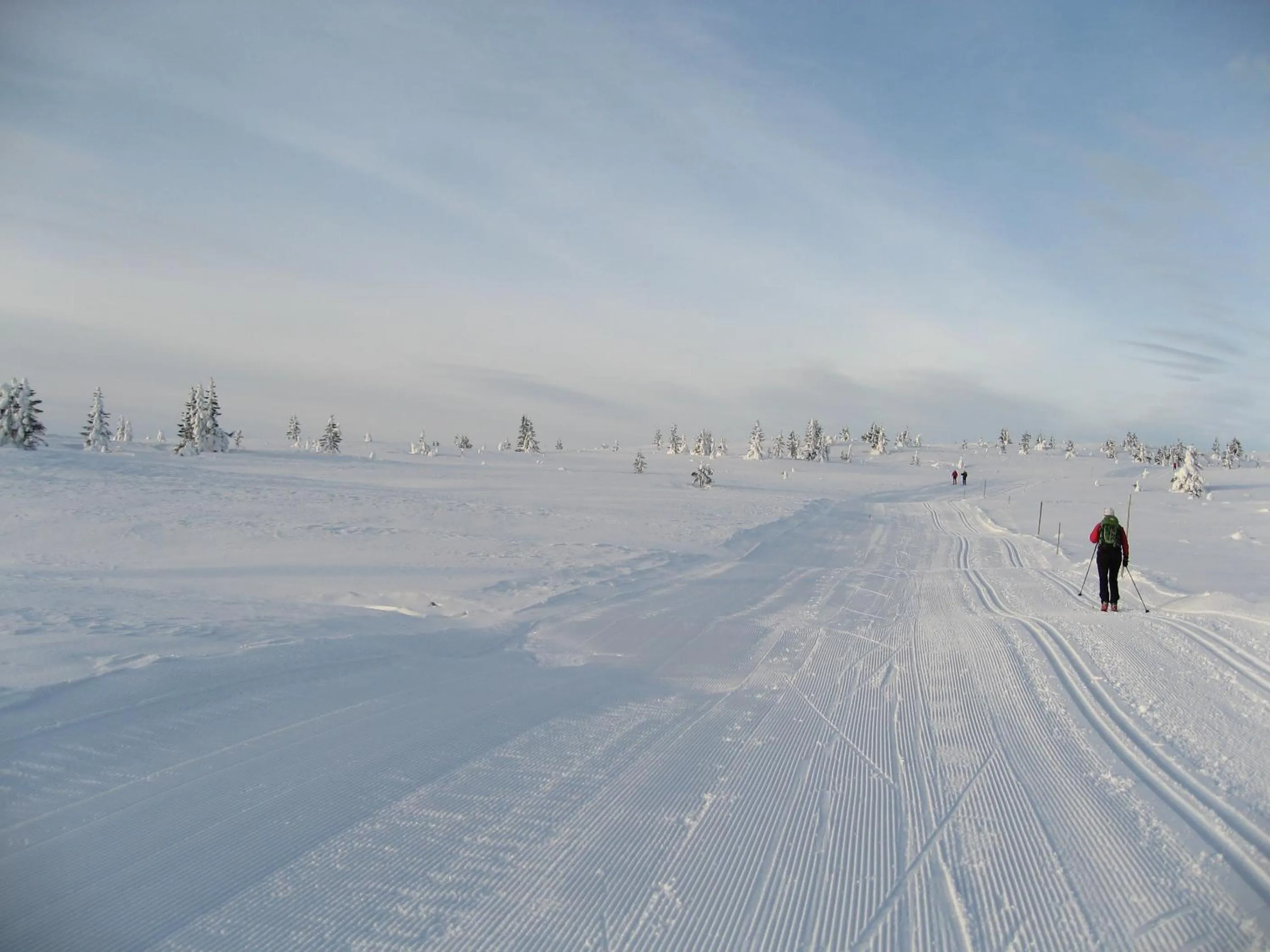 Natural landscape in Lampeland Hotel