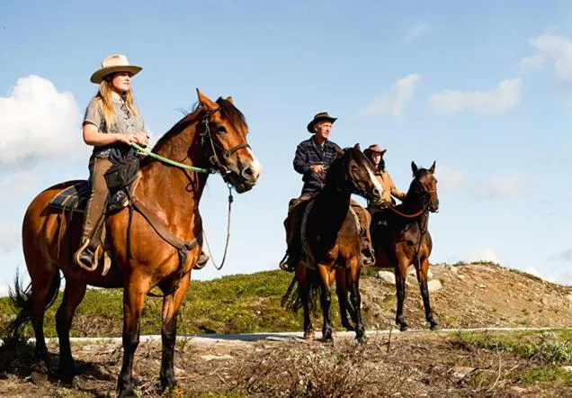 Horse-riding in Vestlia Resort