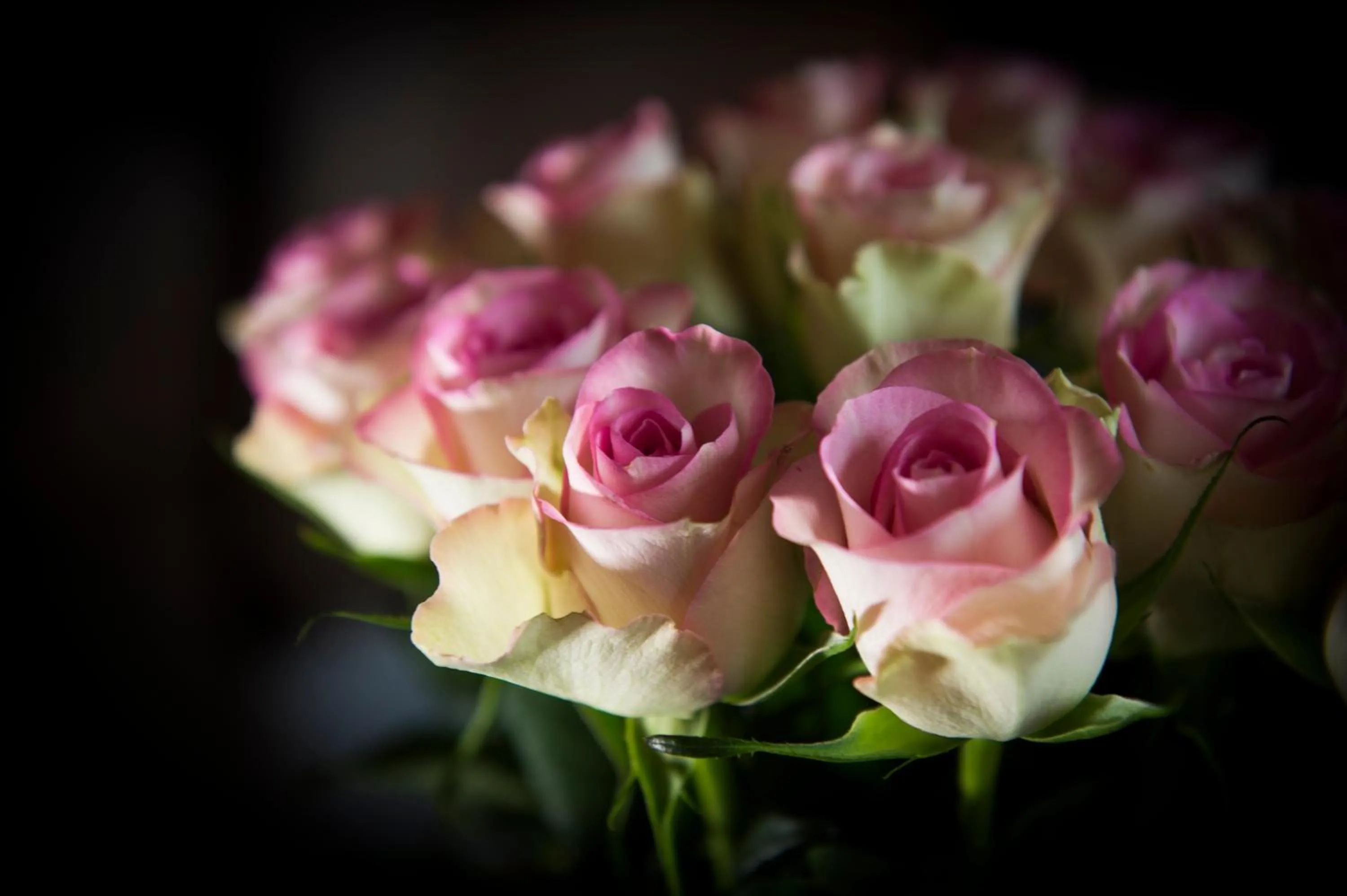 Decorative detail in Home Hotel Park