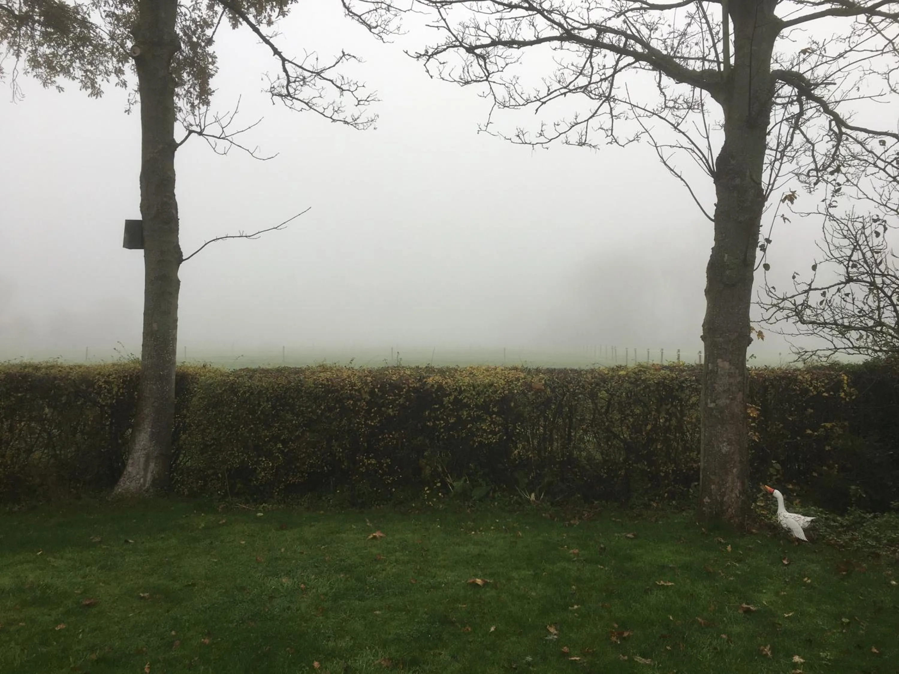 View (from property/room) in Gastenverblijf Neeltje