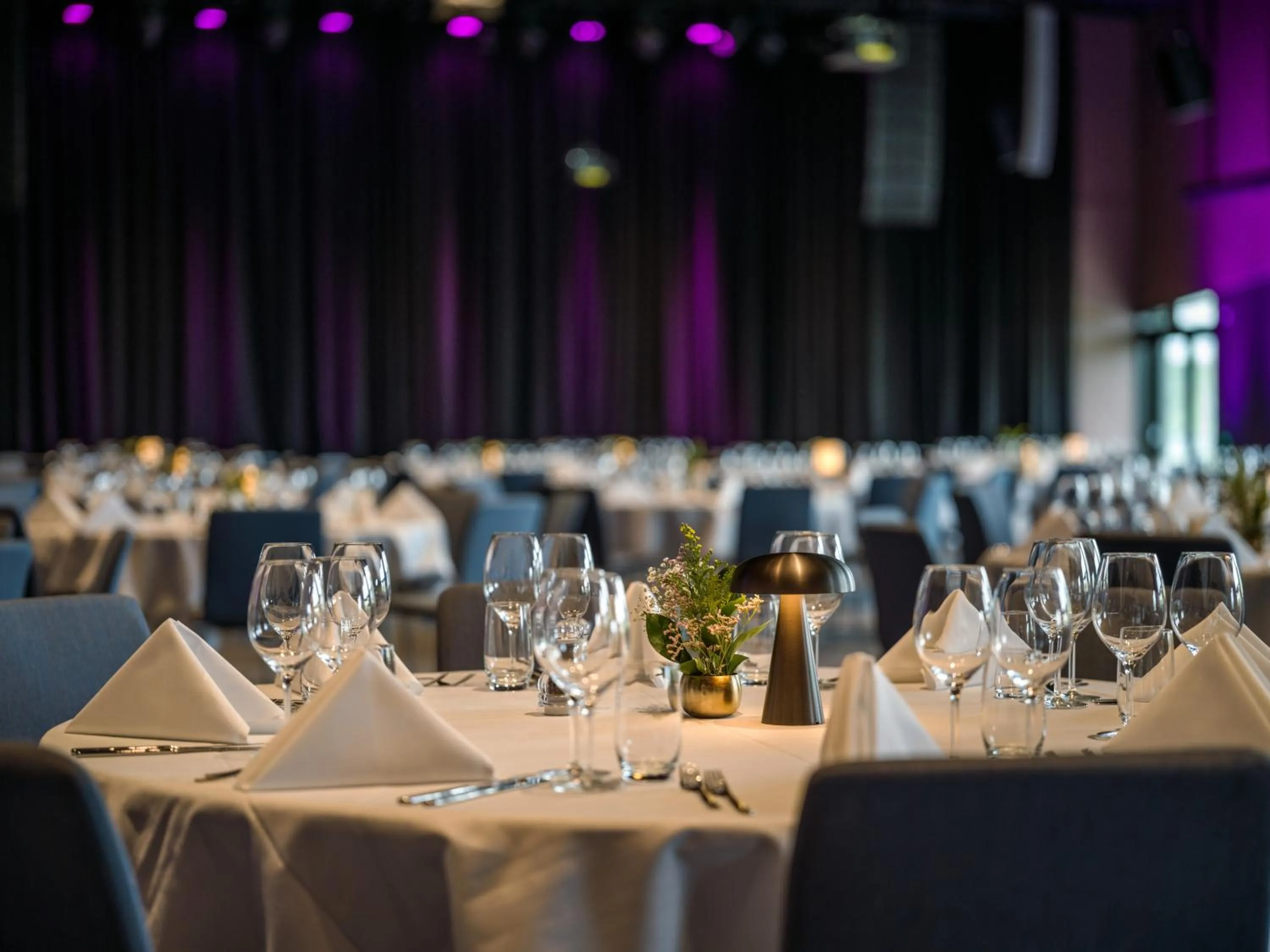 Banquet/Function facilities in Quality Hotel Panorama