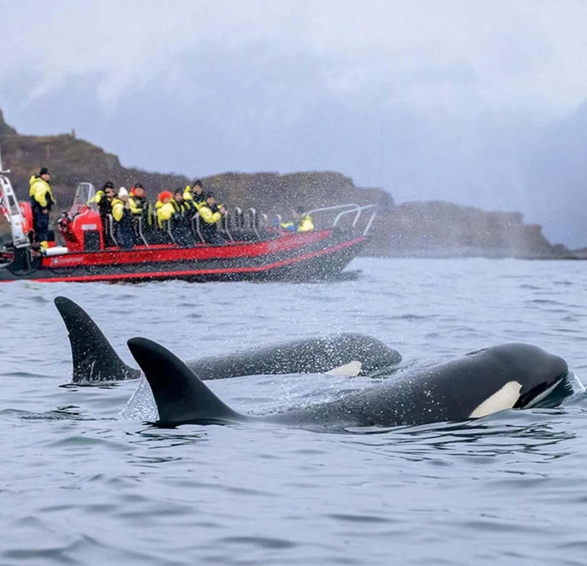 Activities in Thon Partner Hotel Andrikken