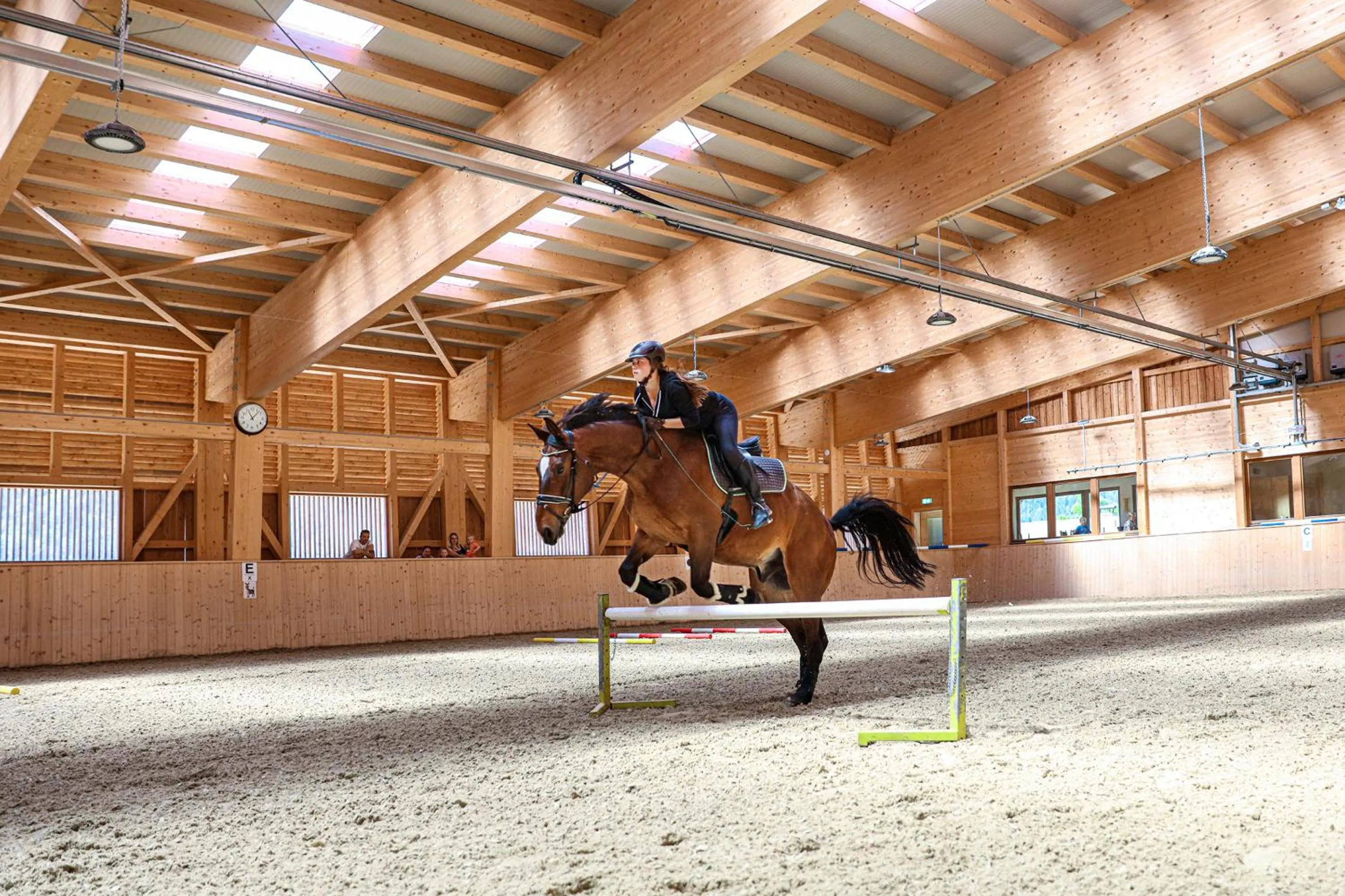 Horse-riding in Familienresort Buchau
