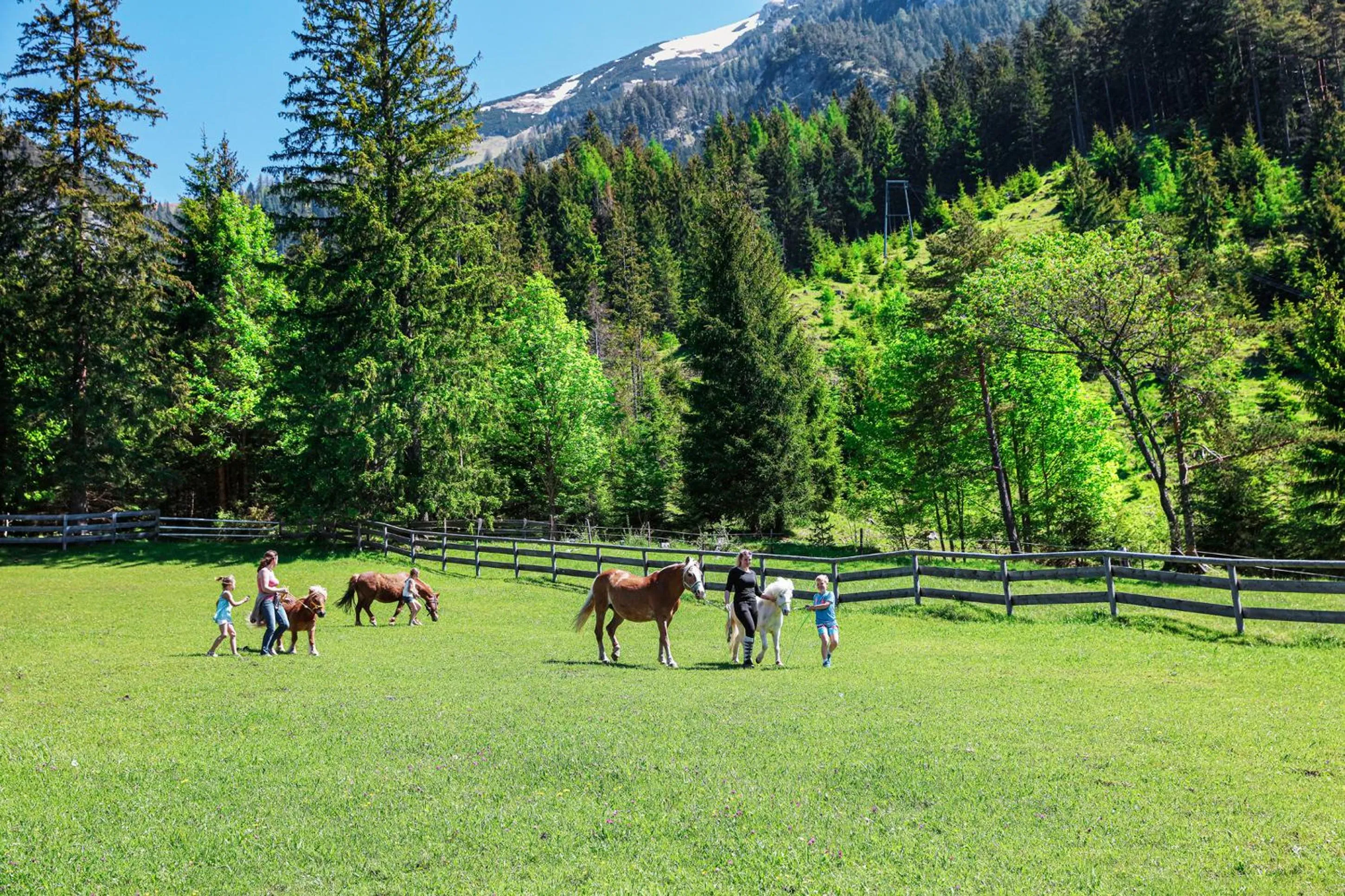 Natural landscape in Familienresort Buchau